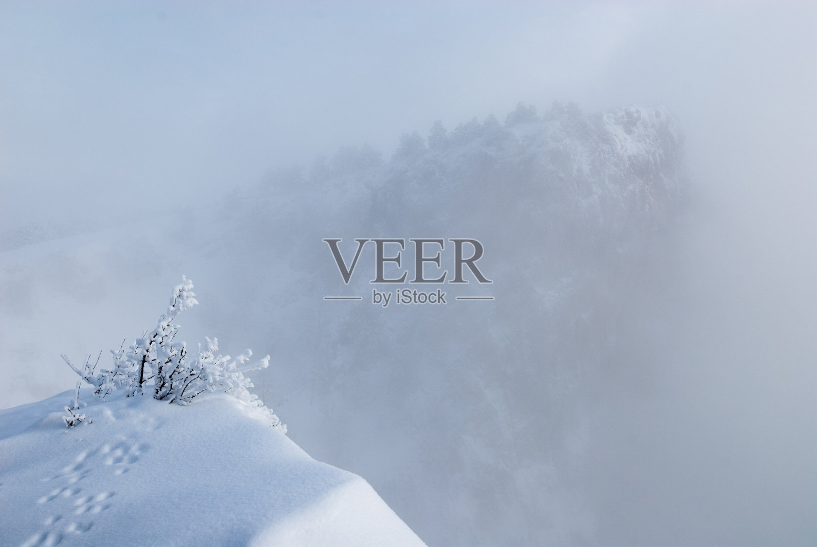 冬季克里米亚山在雾与霜冻的树和动物的足迹在前景照片摄影图片