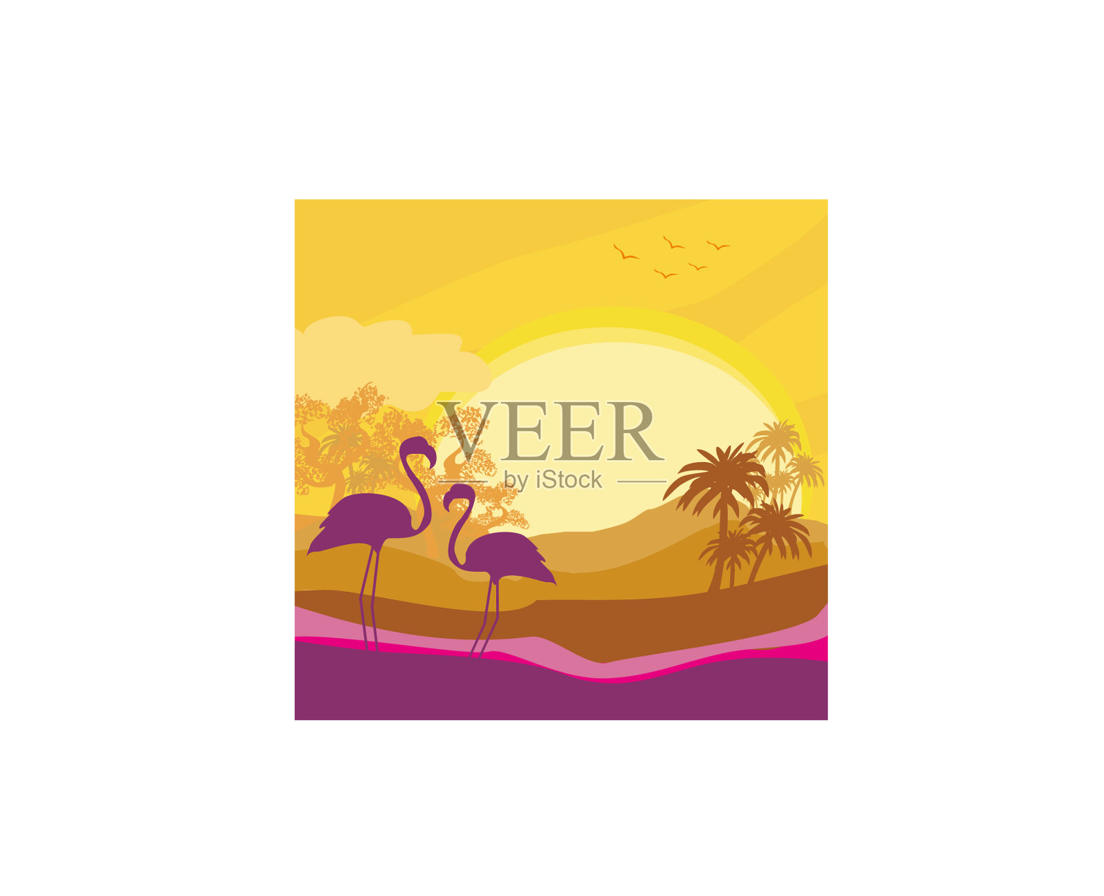 火烈鸟夫妇在野生自然景观插画图片素材