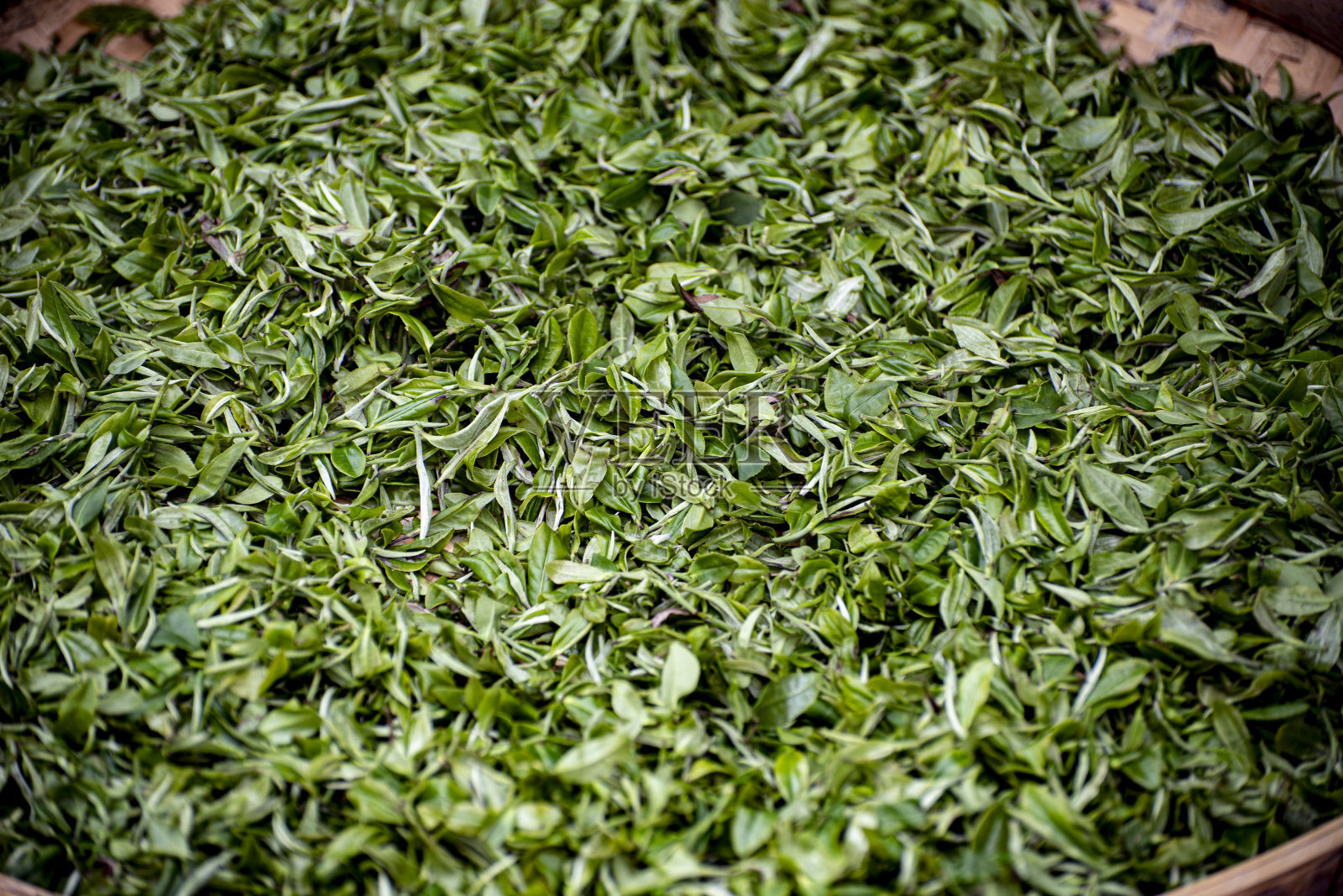近距离的茶叶干燥在一个篮子照片摄影图片