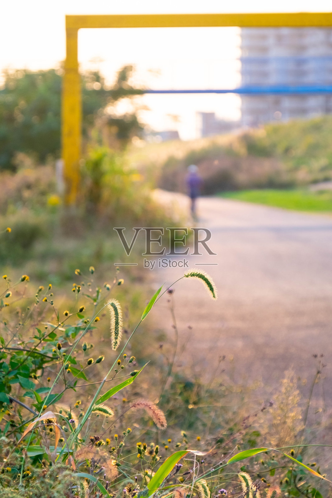 黄昏时分的人行道和河床上的草地照片摄影图片