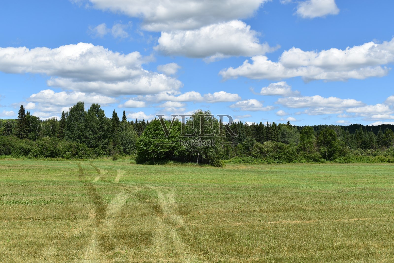 跟踪照片摄影图片