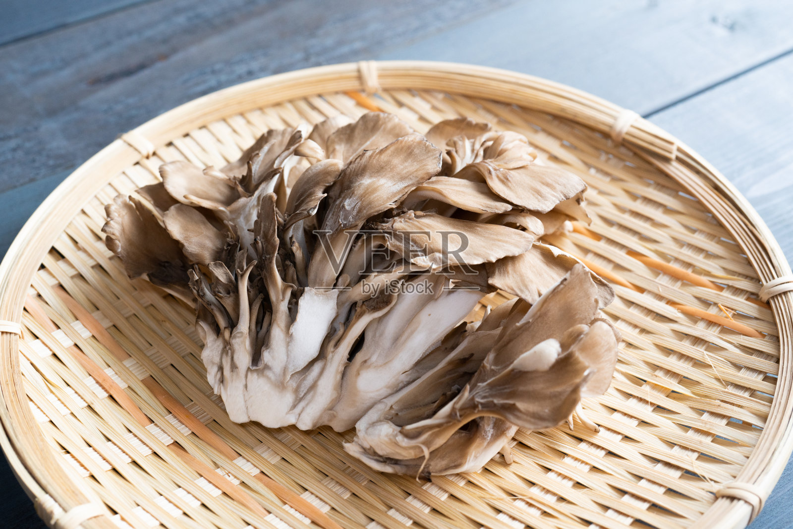 舞茸蘑菇照片摄影图片