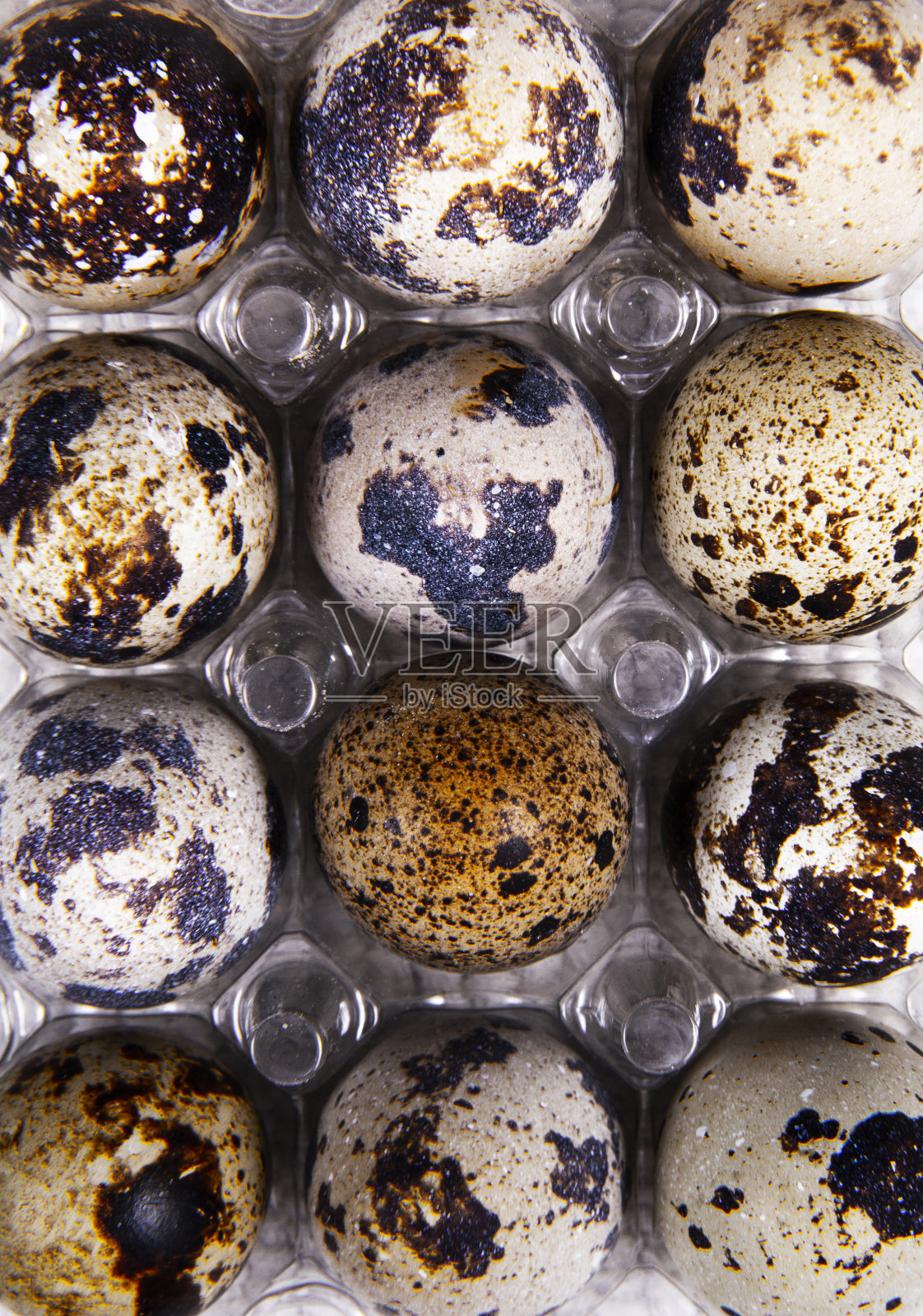 特写镜头:容器中的一些鹌鹑蛋照片摄影图片