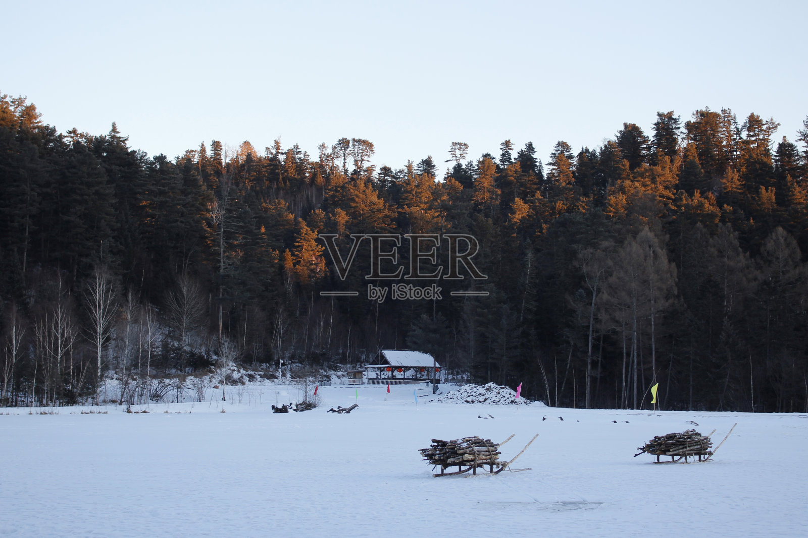 森林附近的雪地照片摄影图片