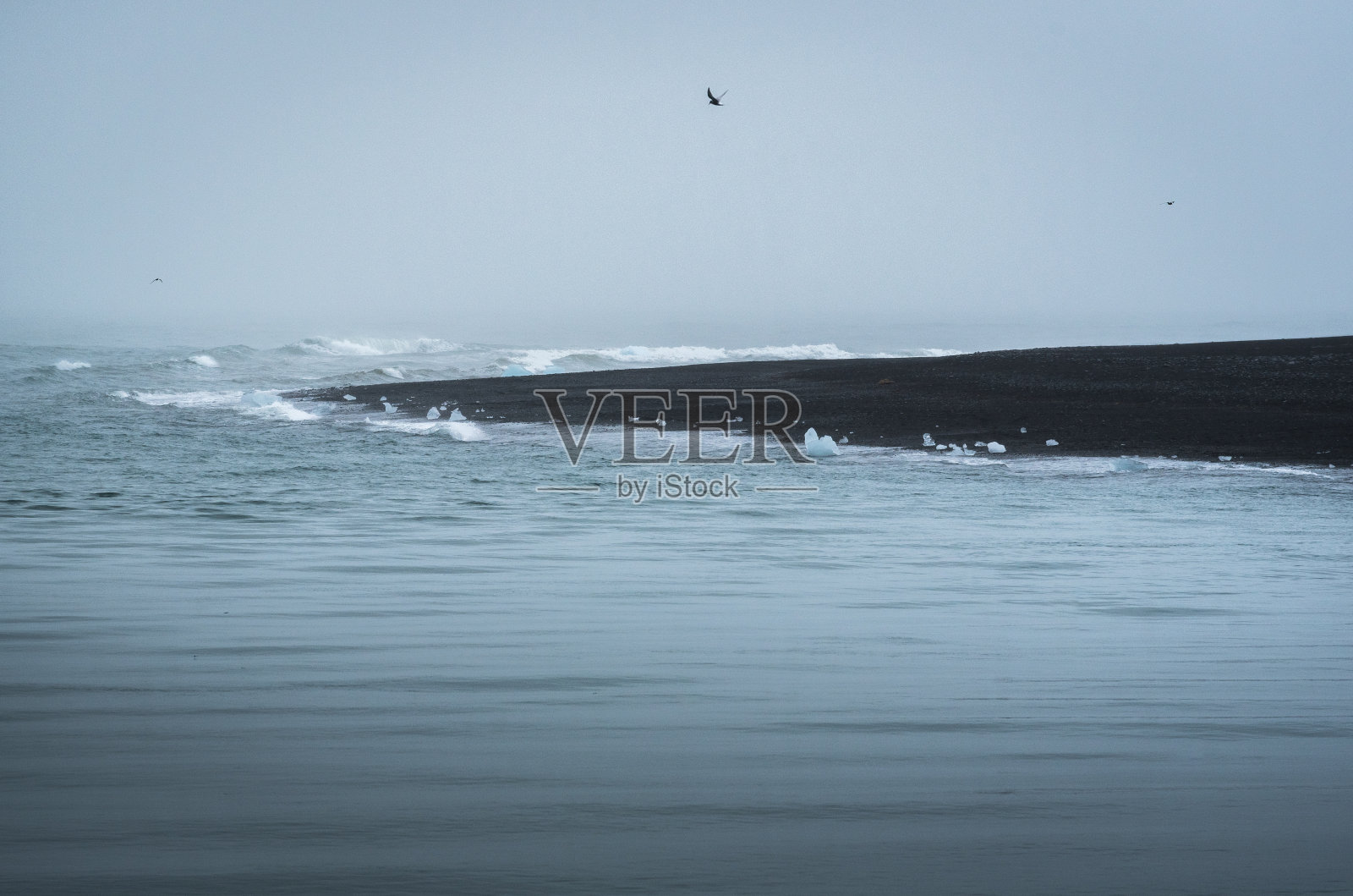 冰岛的钻石海滩照片摄影图片