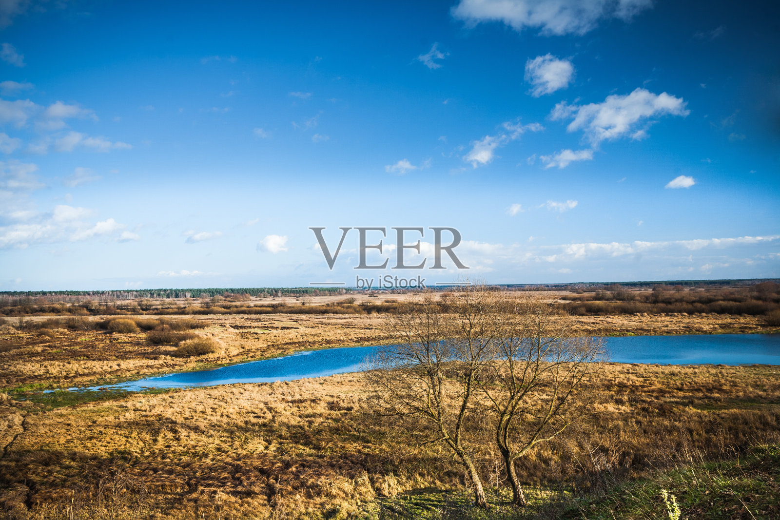 秋天的观点在草地上与小磅照片摄影图片