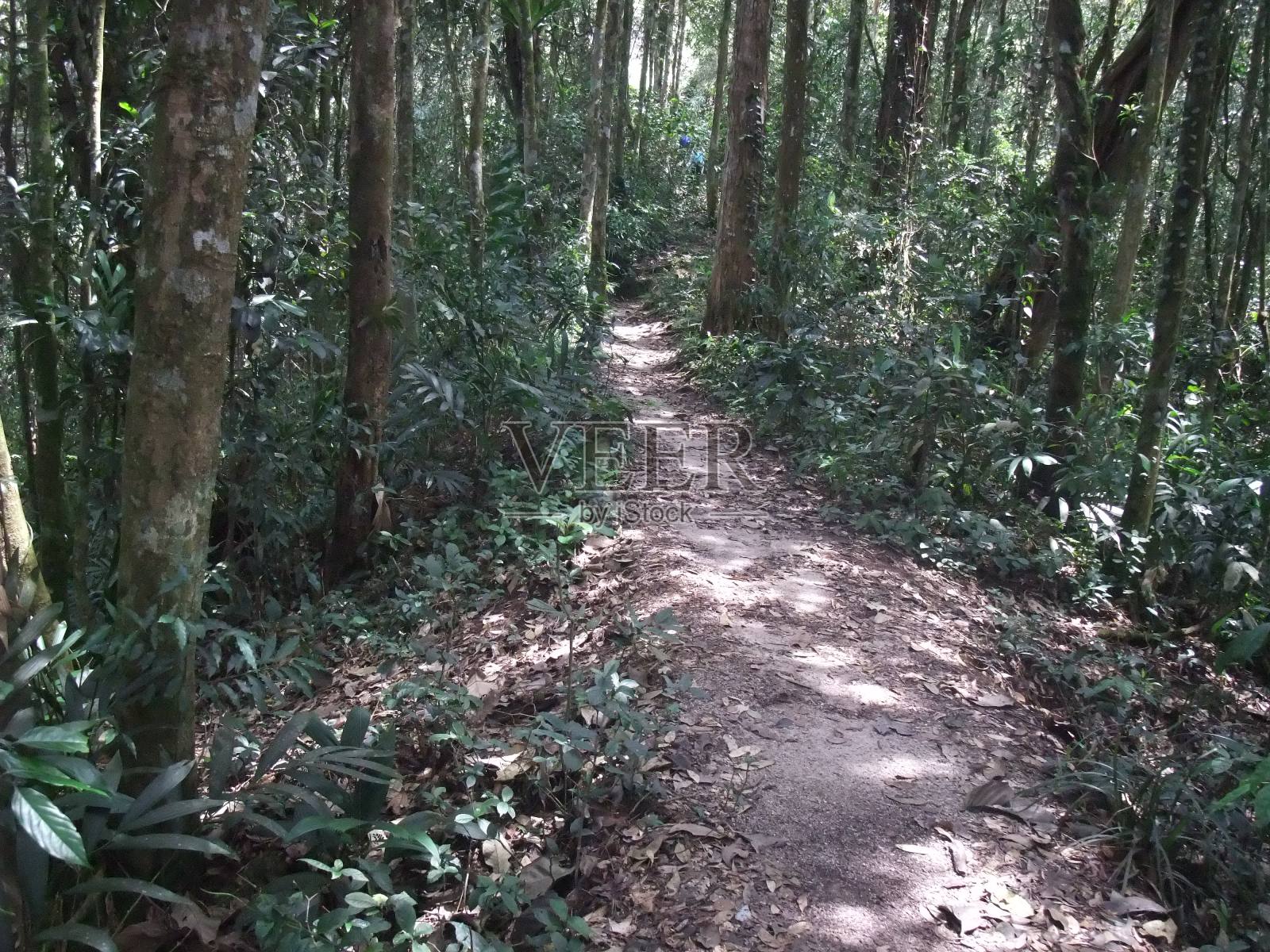 徒步旅行照片摄影图片