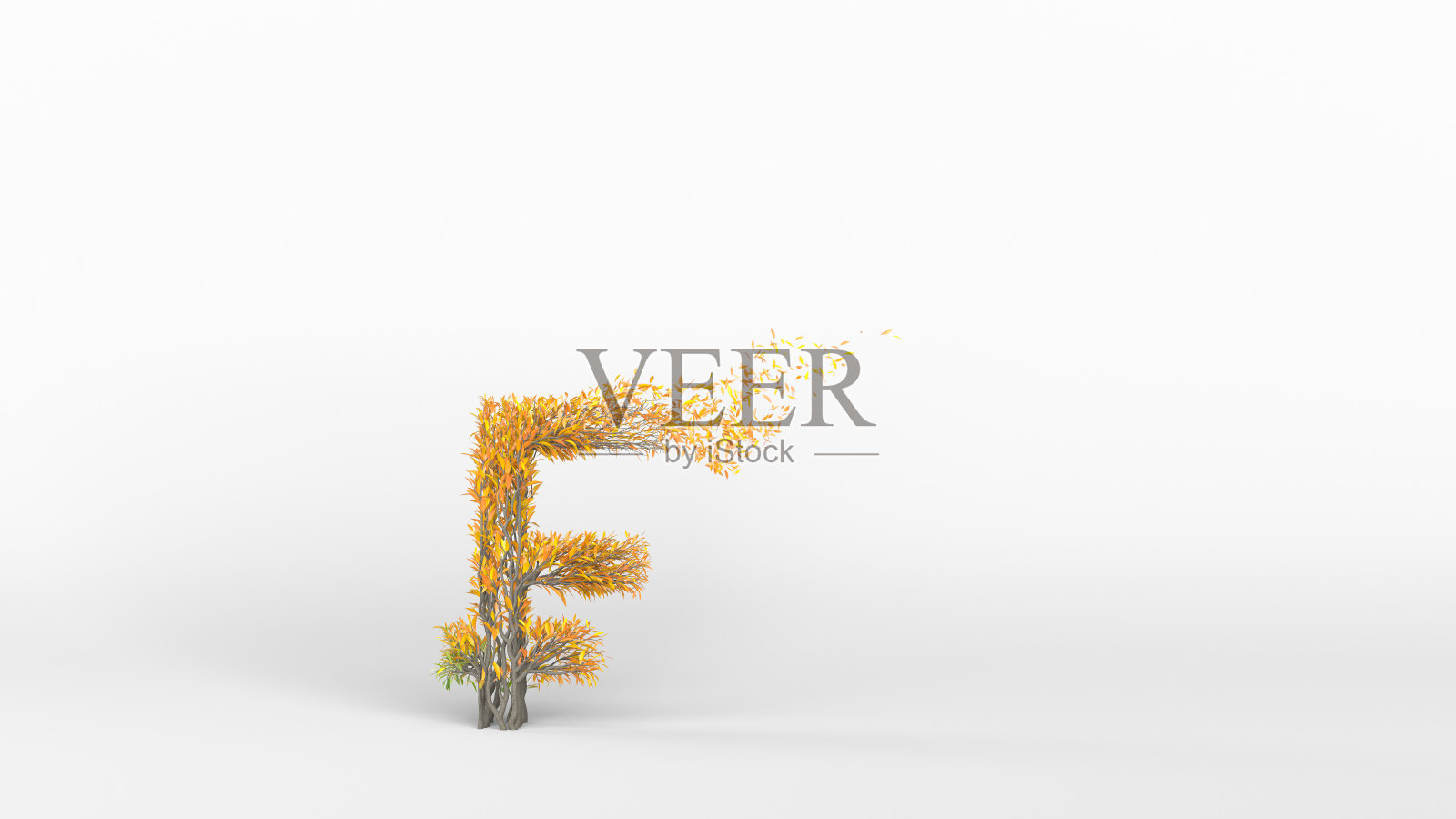 一棵法郎形状的树。照片摄影图片