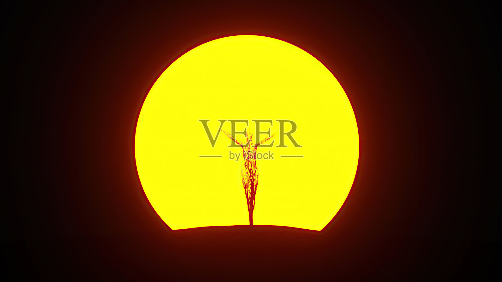 生长中的树的剪影,形成一个人的形状。环保的概念。照片摄影图片