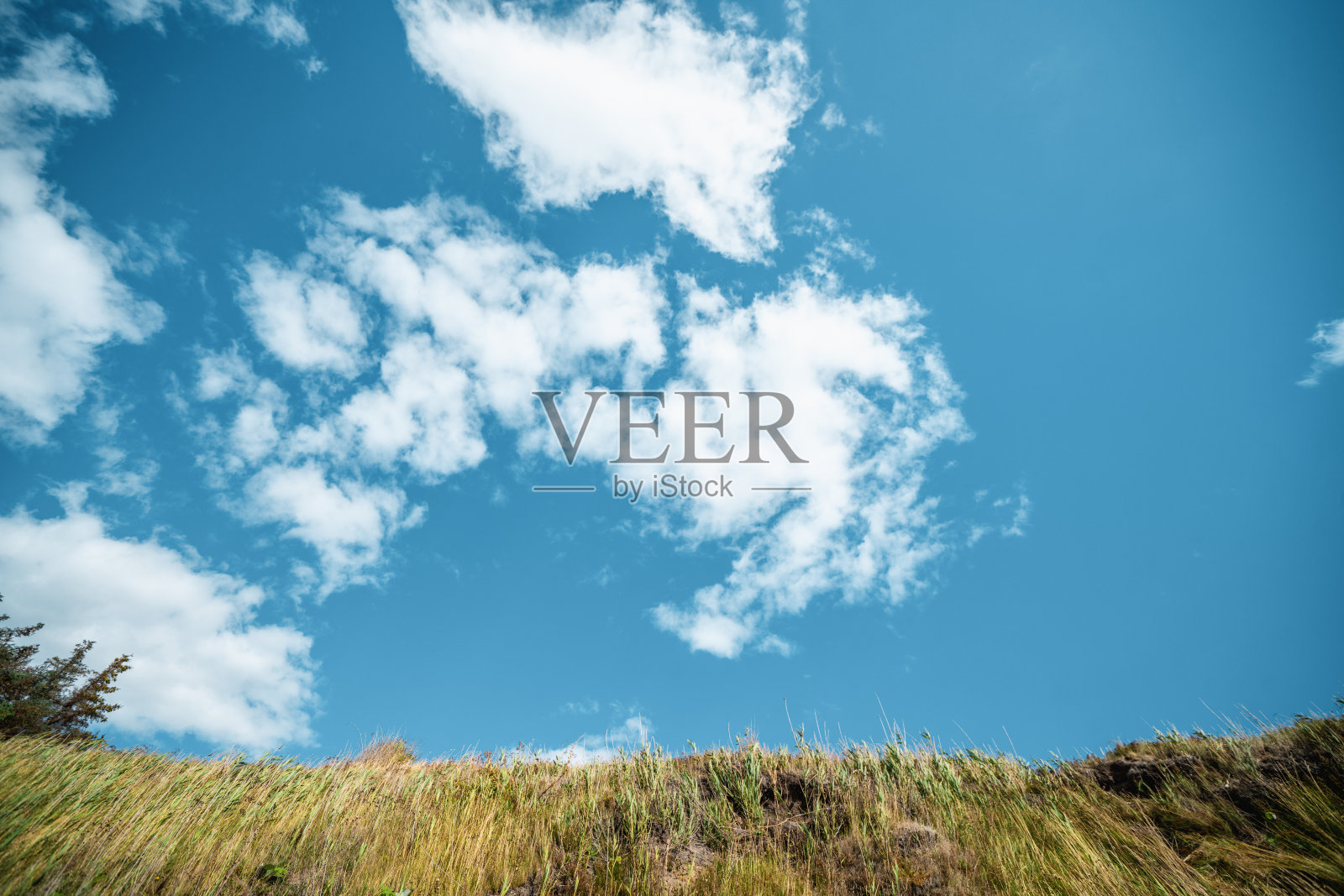 夏天,平原上的蓝天上长满了干草照片摄影图片