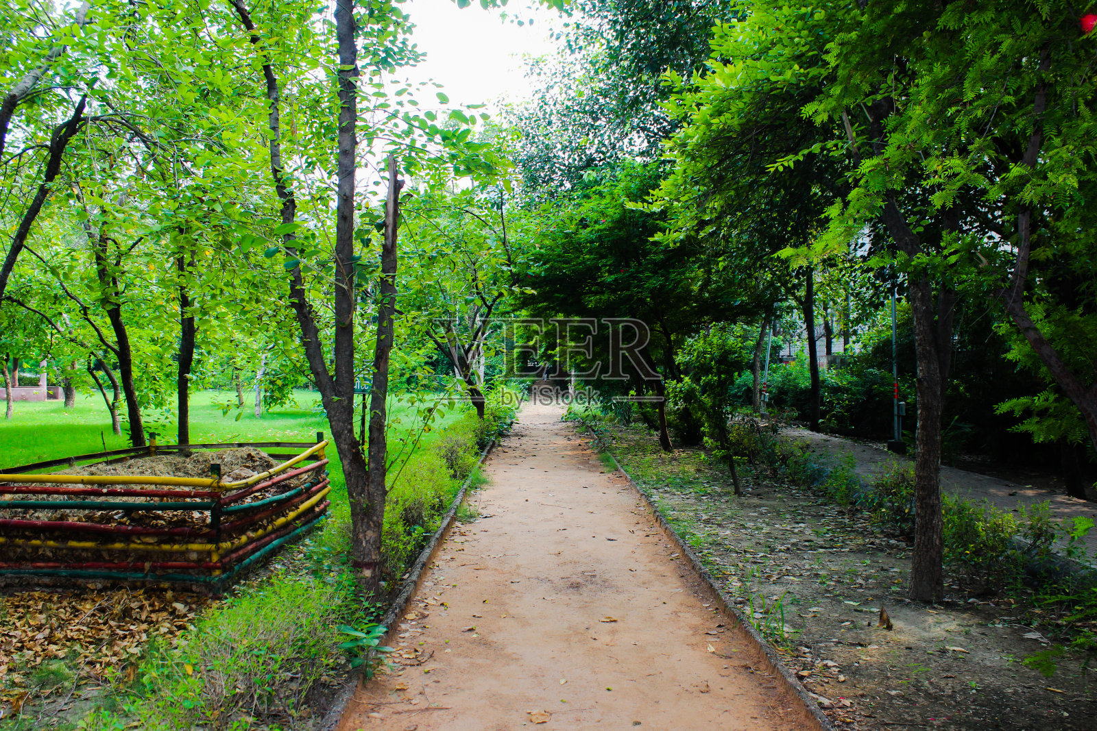 一幅花园里的路的画照片摄影图片