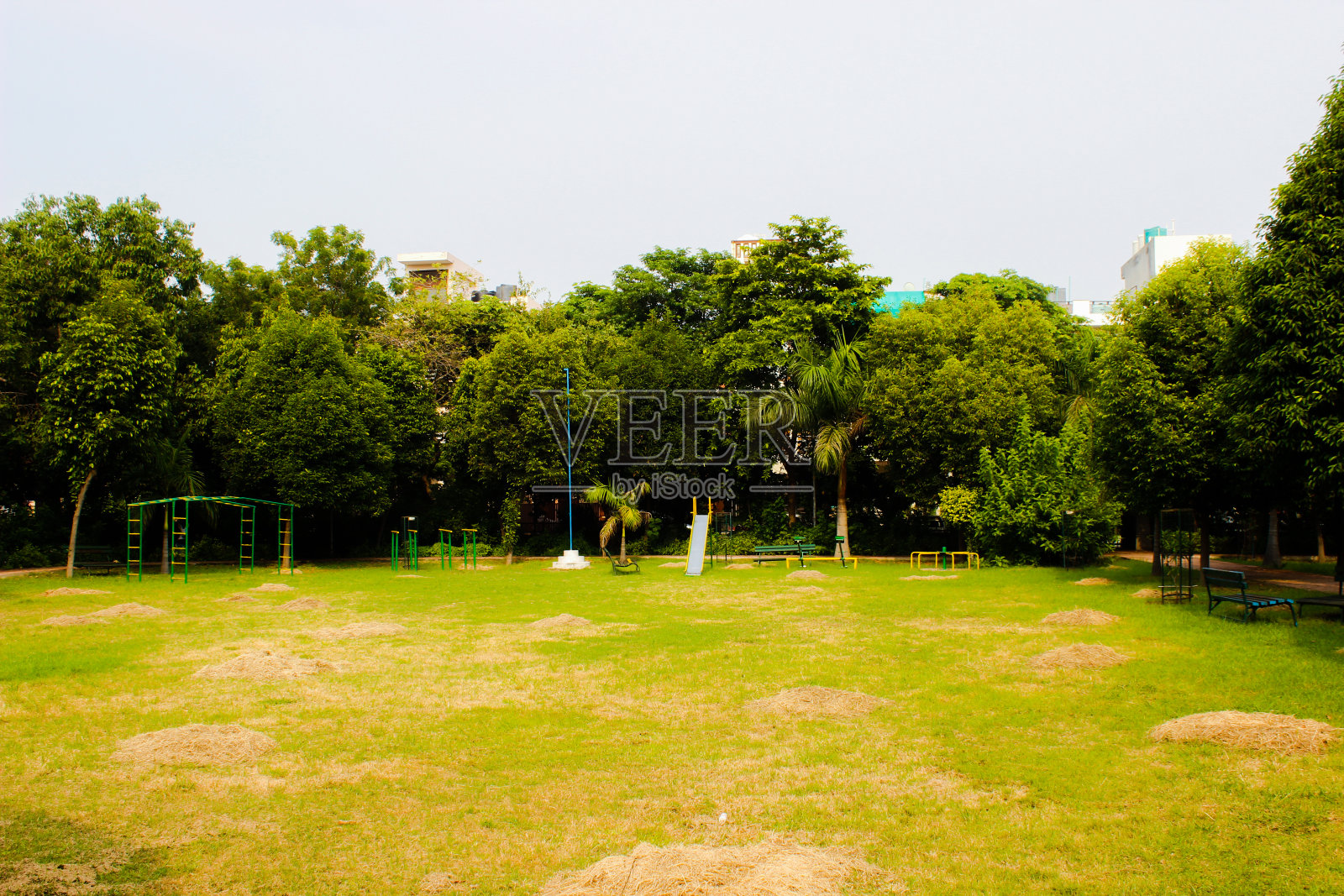 一幅花园的画照片摄影图片