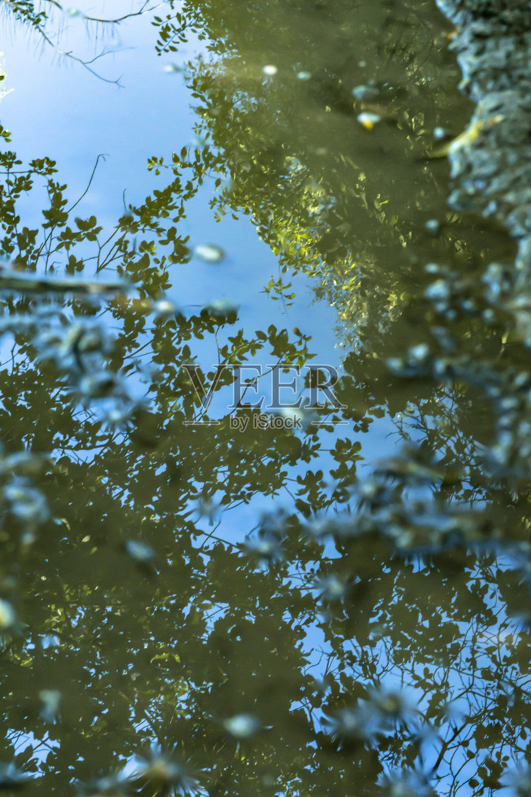 抽象的自然反射照片摄影图片