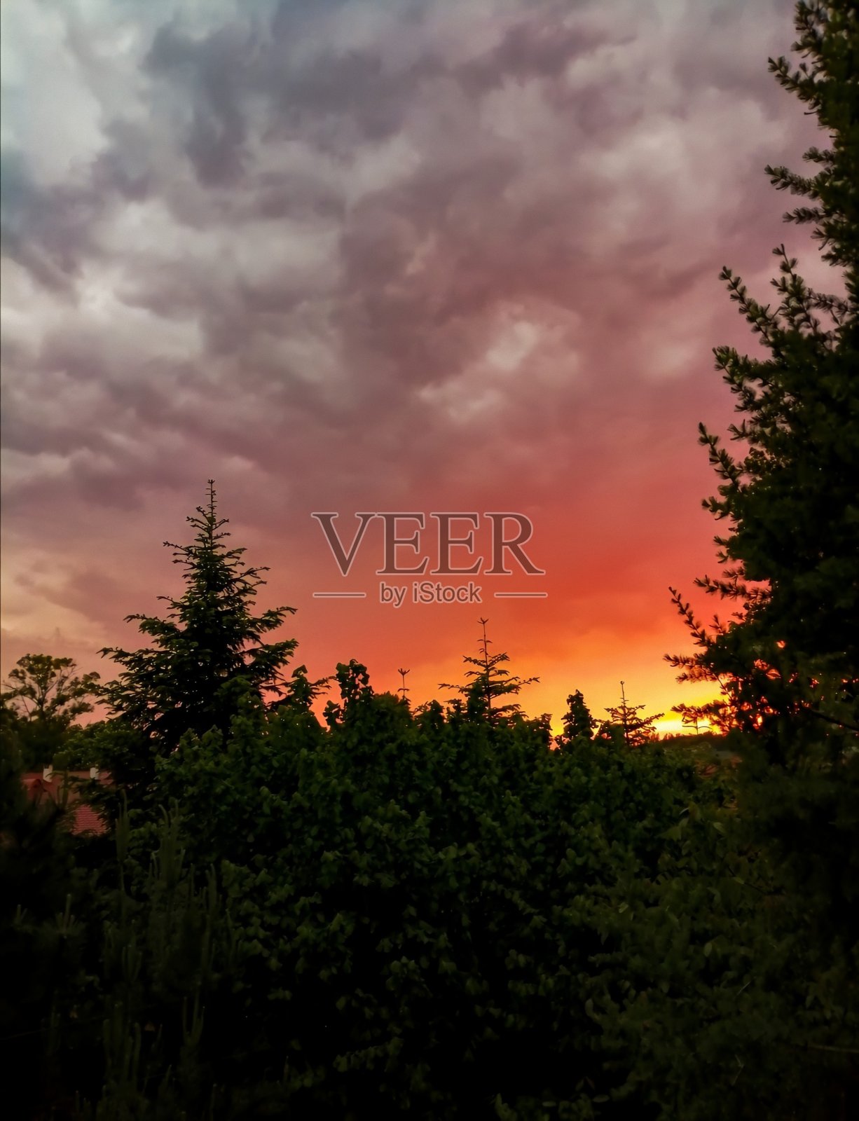 性质照片摄影图片