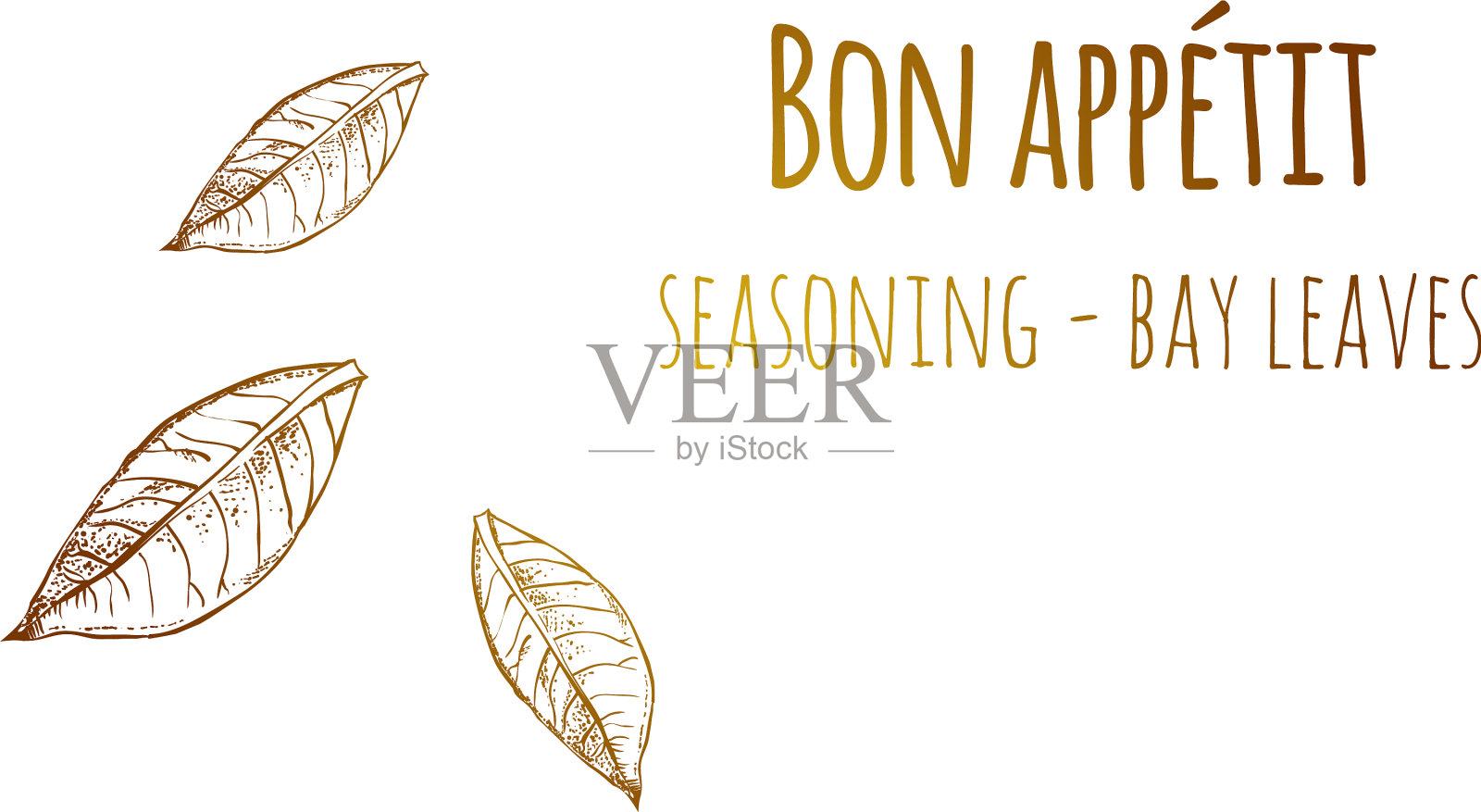 手绘古月桂叶食物素描插画图片素材