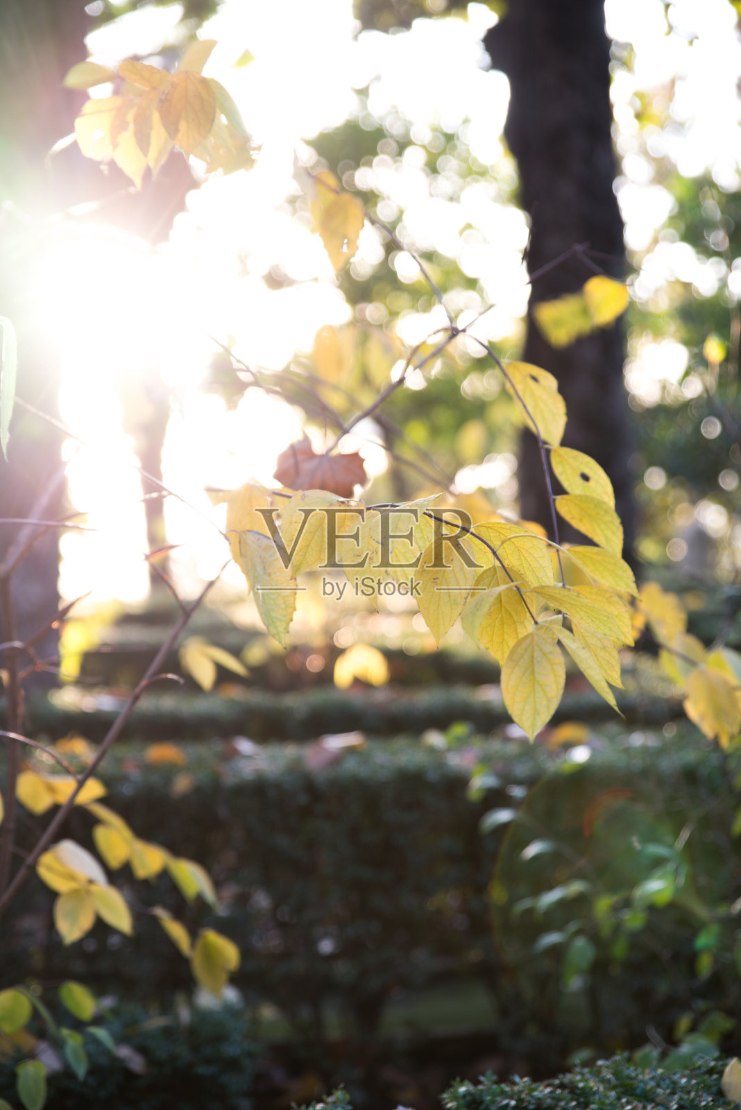 日落在格拉纳达照片摄影图片