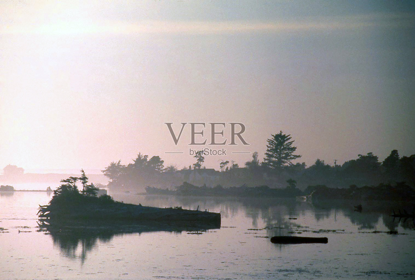 新的一天的甜蜜照片摄影图片