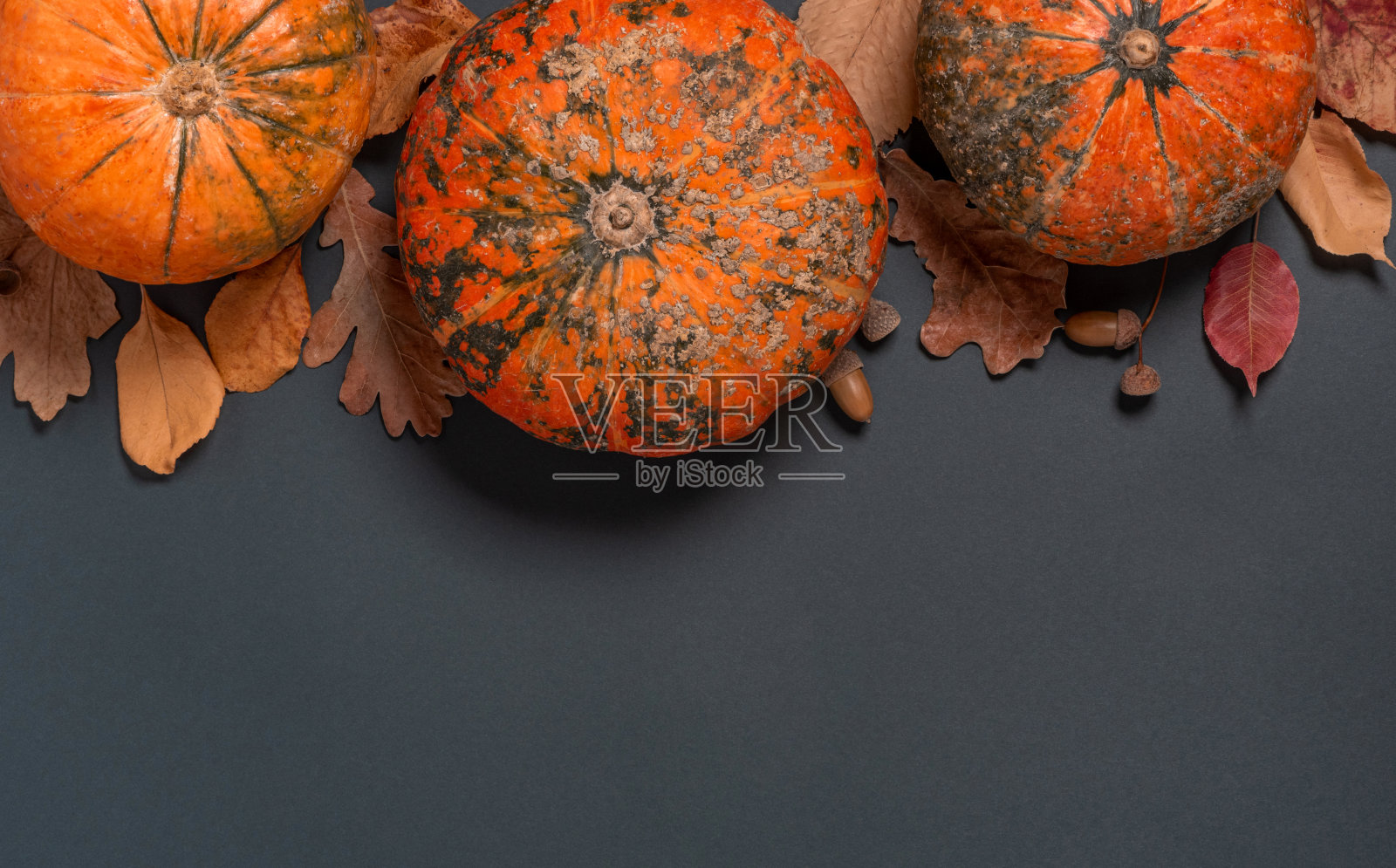 橙色的南瓜和深灰色背景下的秋天干燥的叶子照片摄影图片