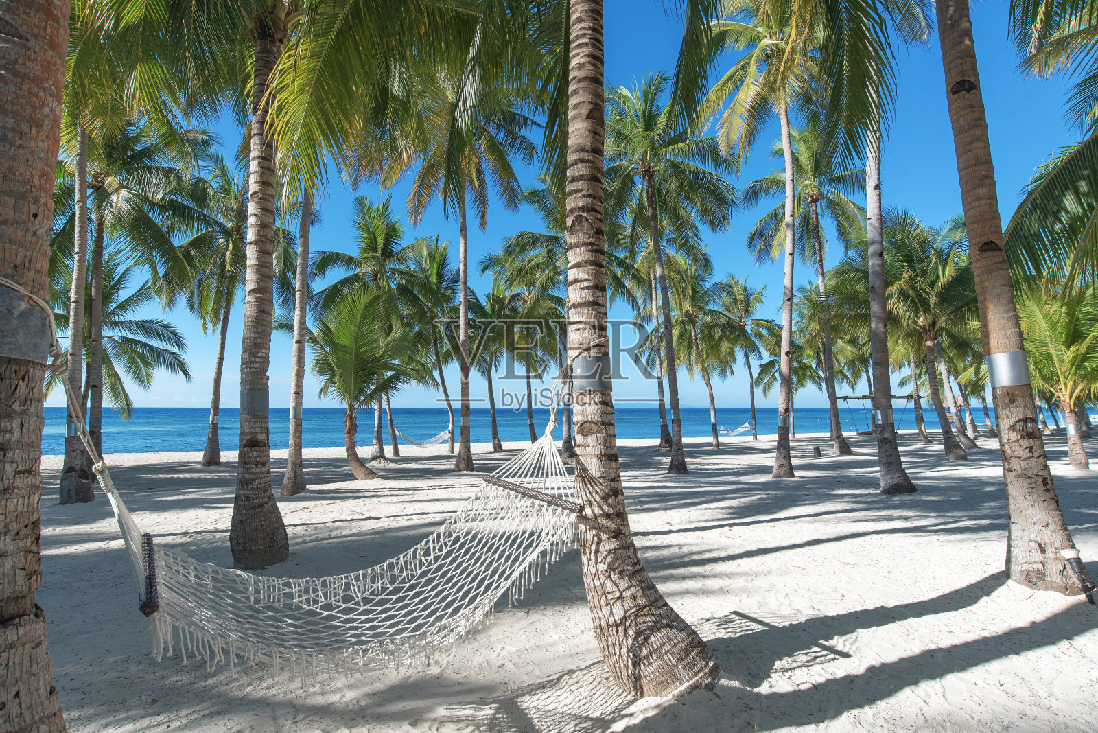 热带天堂海滩上的椰子树下的吊床照片摄影图片