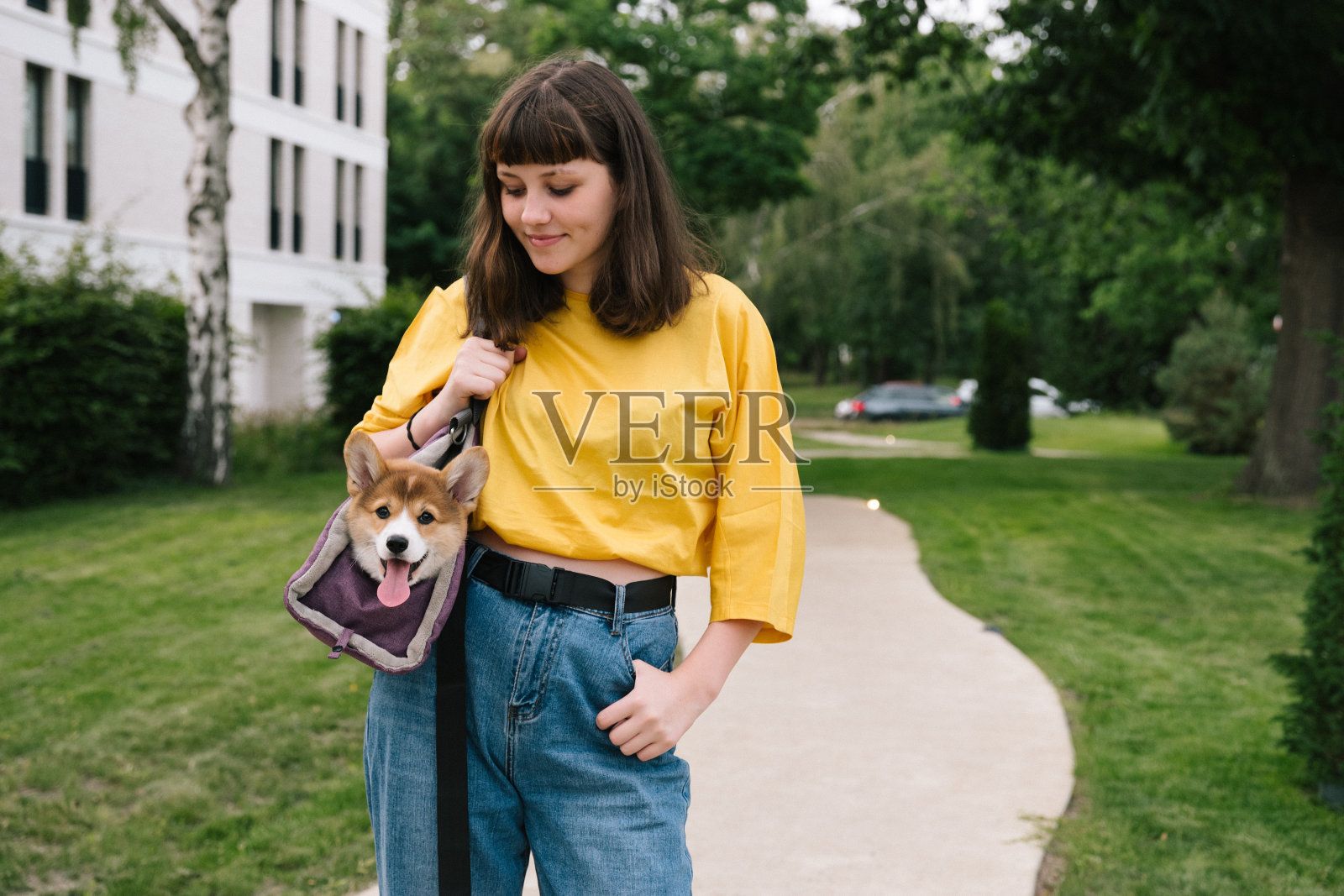 可爱的少女背着一个袋子里的柯基小狗,城市背景照片摄影图片