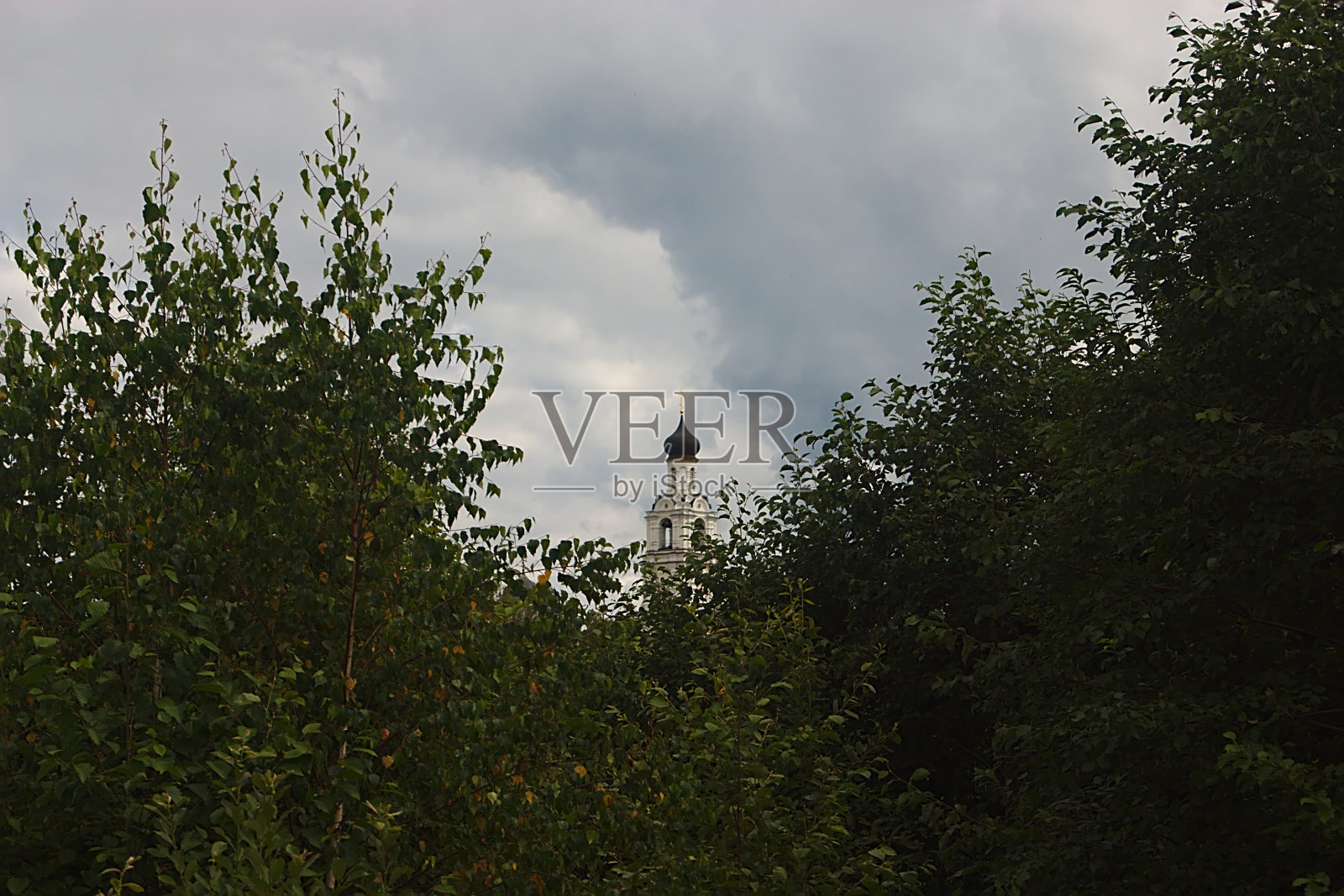 在树后可以看到东正教会照片摄影图片