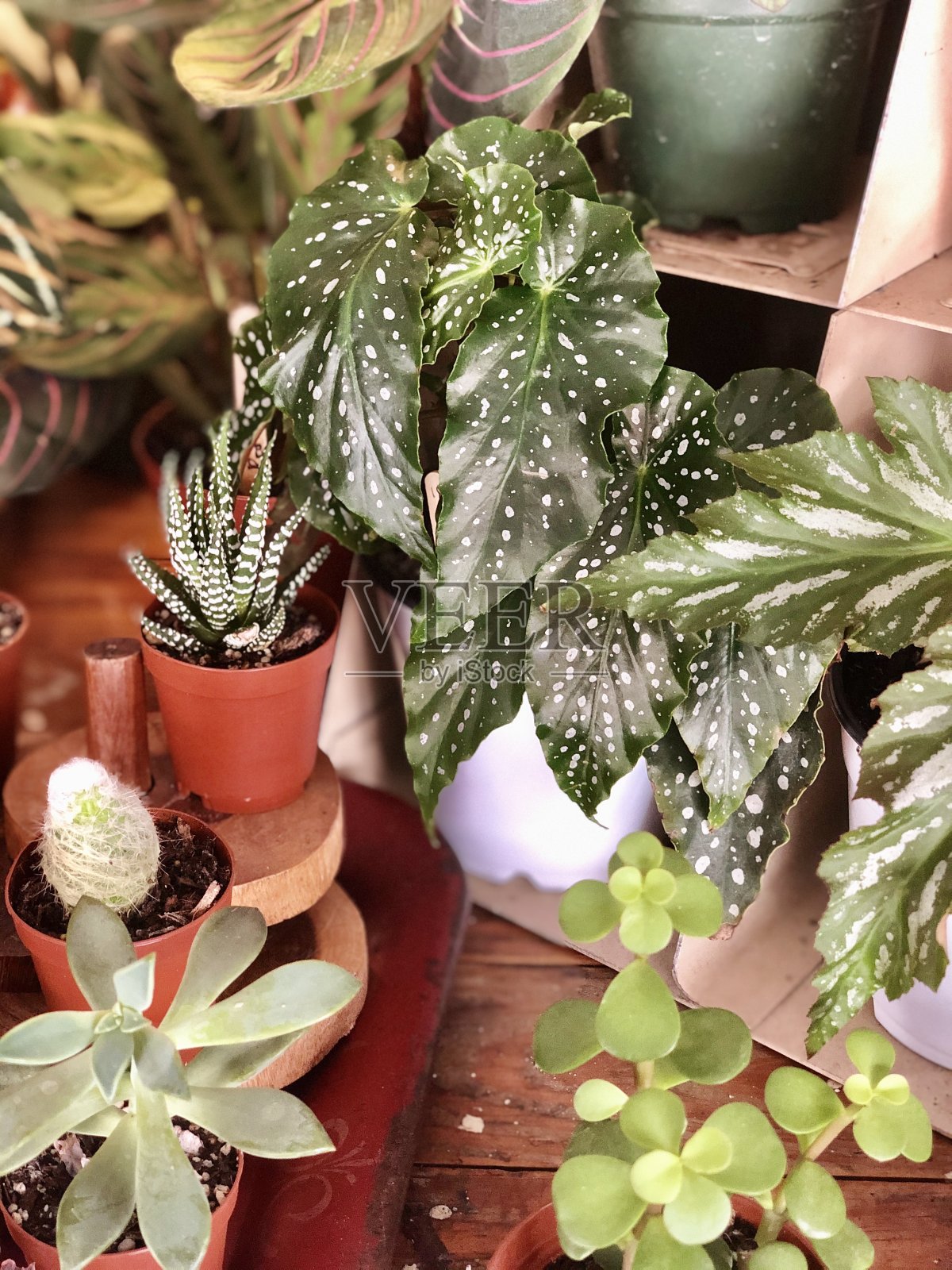 不同但相同照片摄影图片