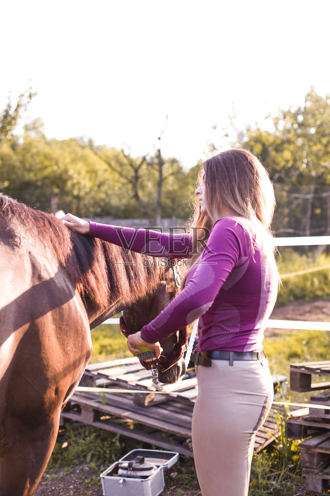 年轻漂亮的女孩正在清洗她的马照片摄影图片