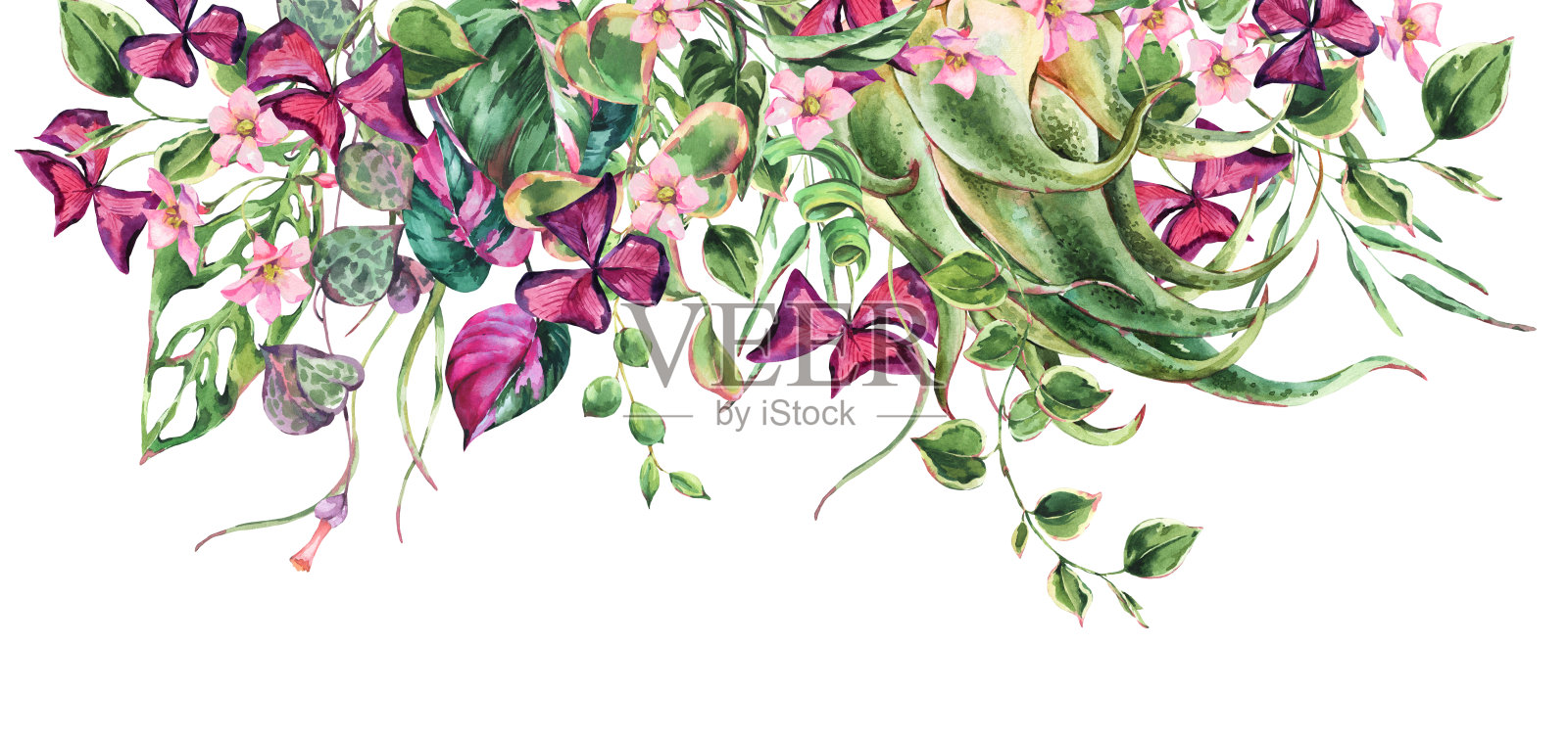 水彩热带花叶横向贺卡。插画图片素材