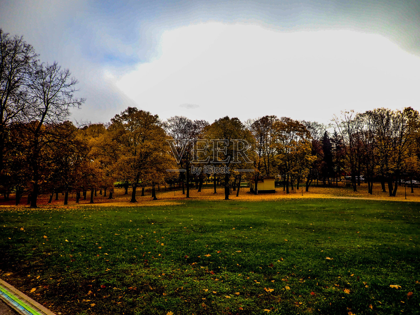 秋天彩色的枫叶和树木在城市公园。照片摄影图片