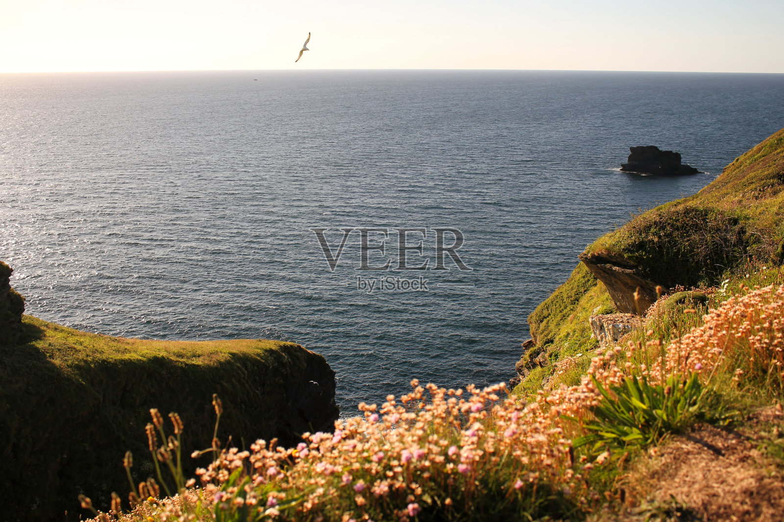 Tintagel,康沃尔郡照片摄影图片