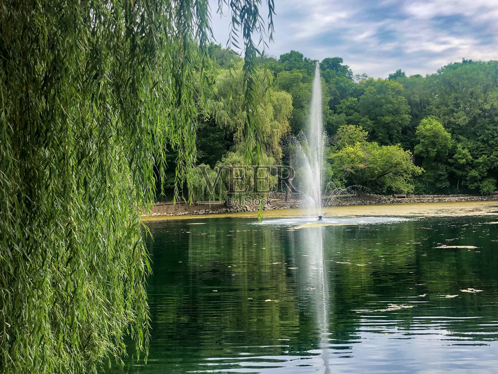 植物园的喷泉和垂柳照片摄影图片