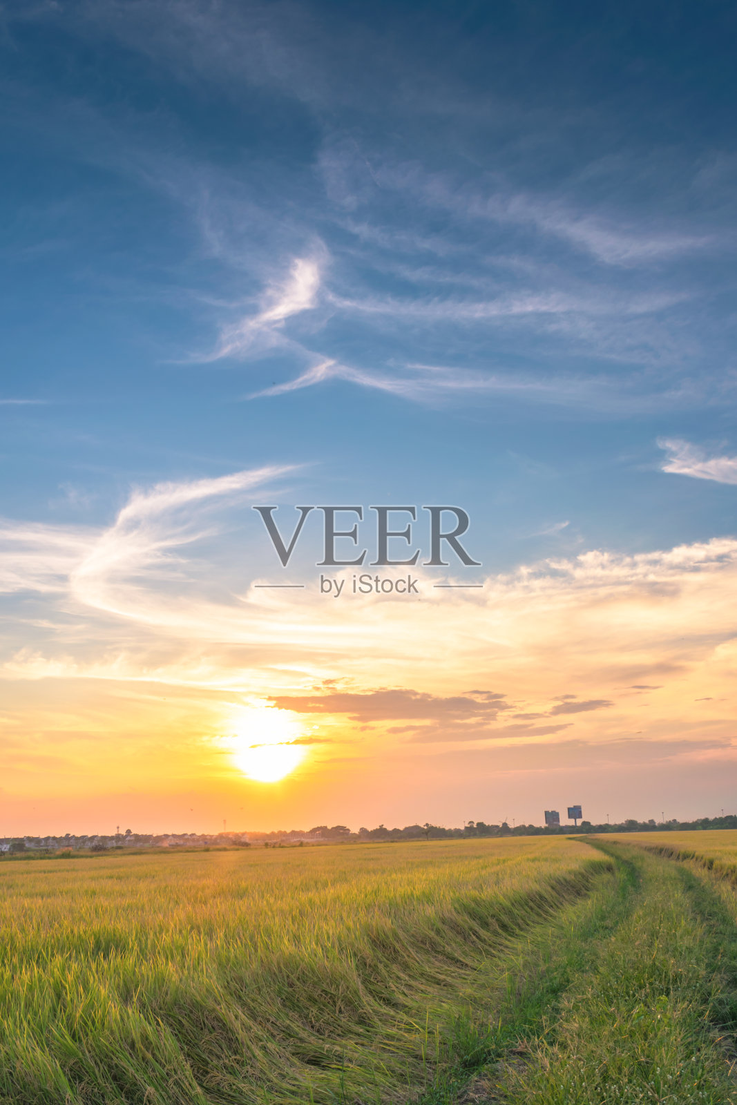 日落时天空下的农场风景照片摄影图片