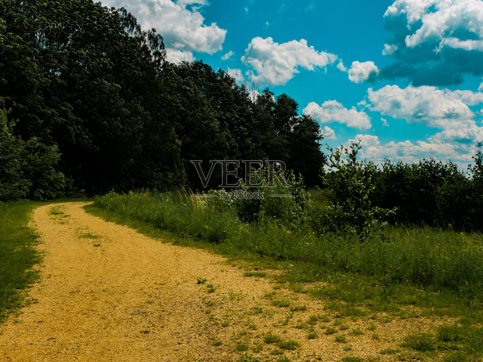 植物园的美景。照片摄影图片