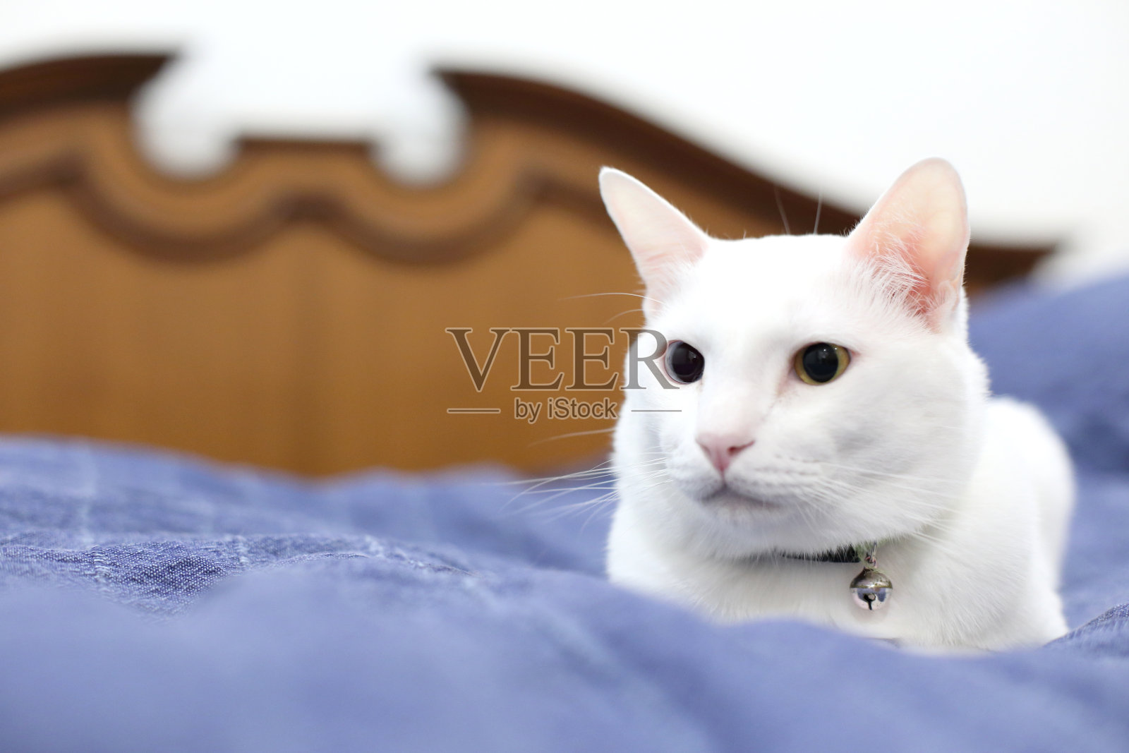 放松照片摄影图片