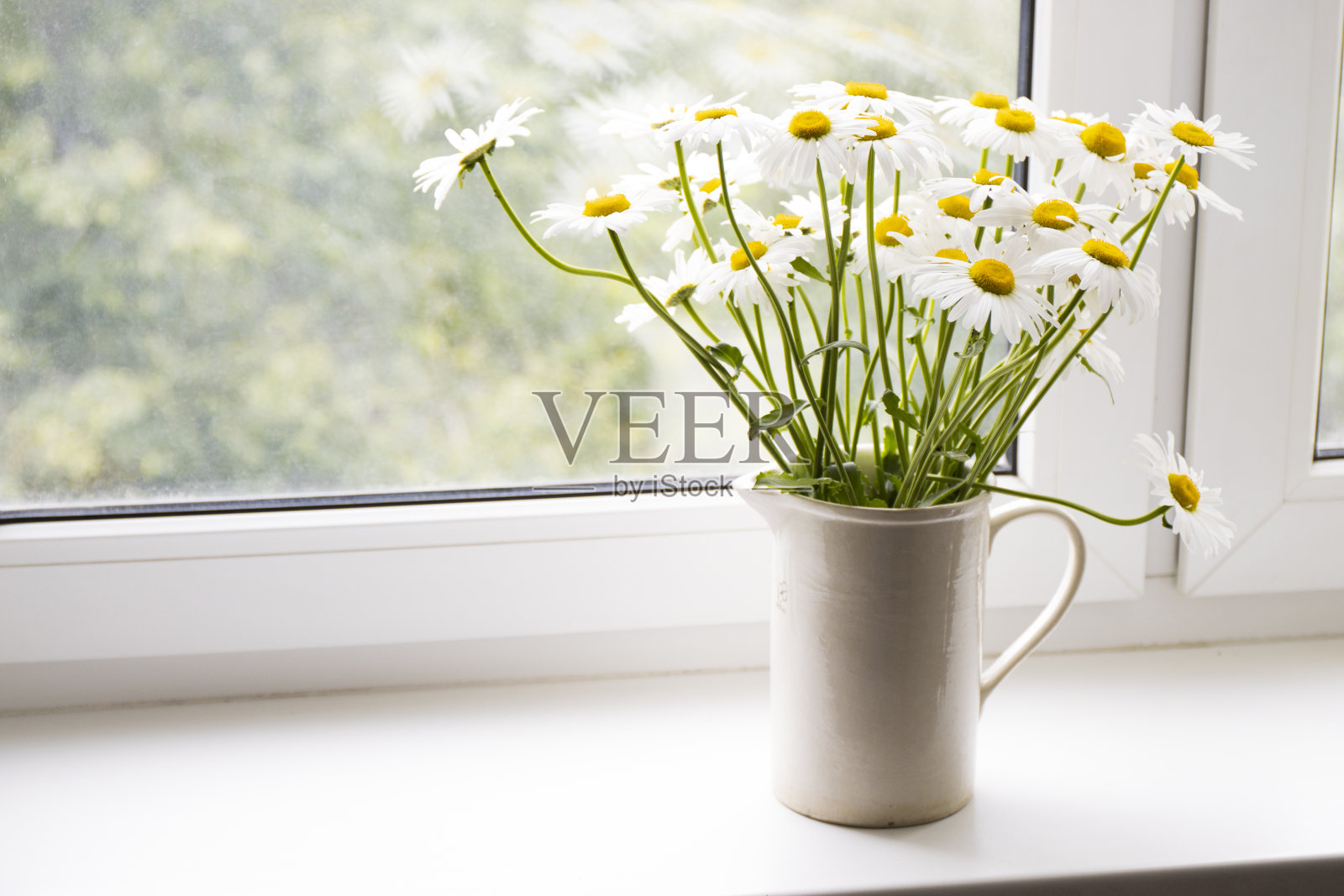 窗户上花瓶里的洋甘菊花束照片摄影图片