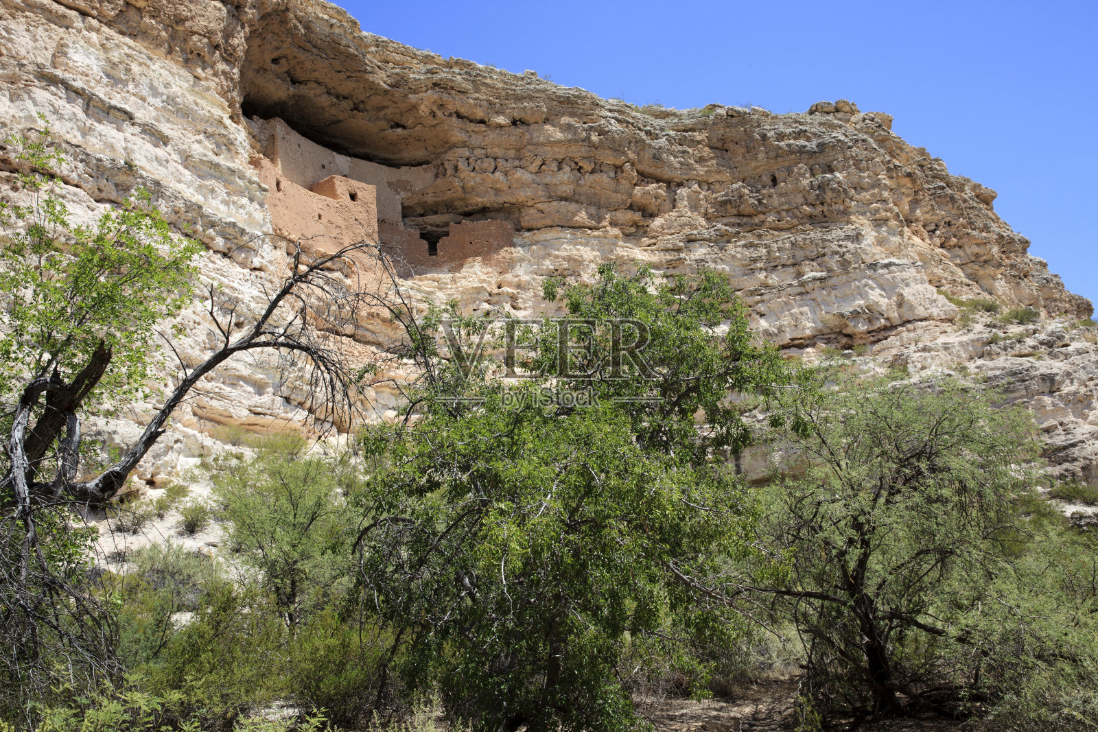 美国照片摄影图片