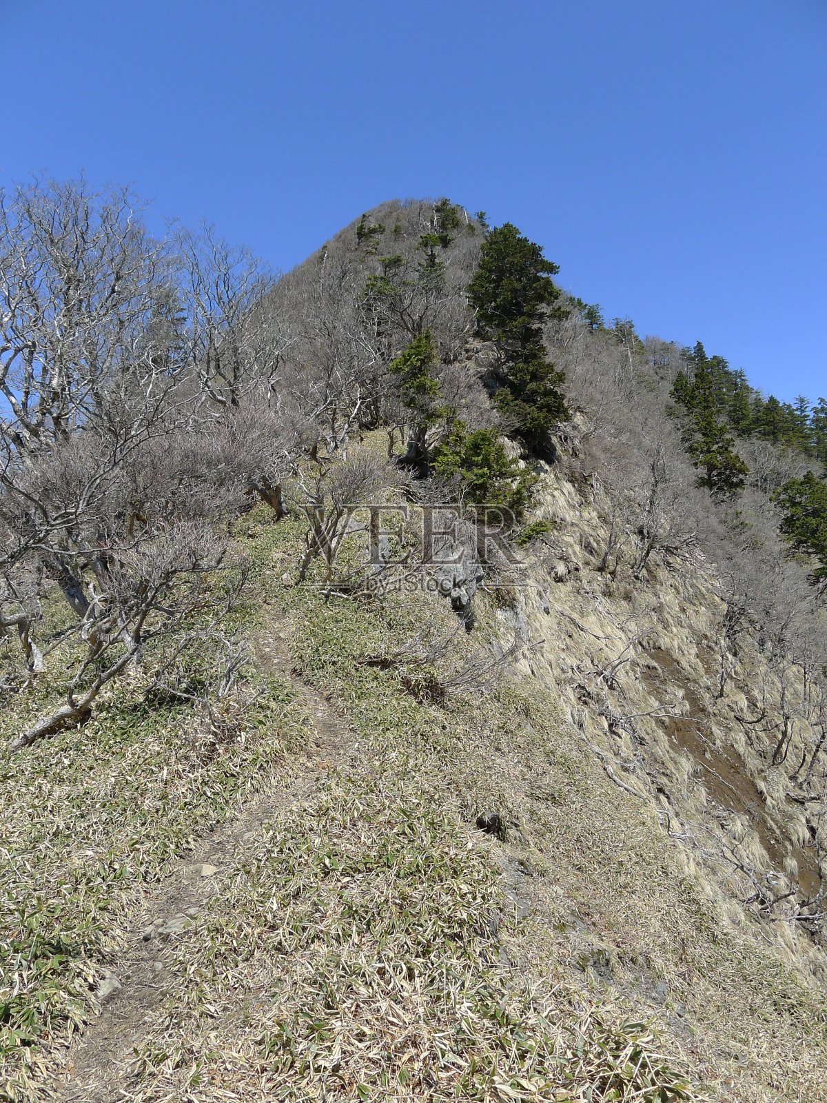 Mount Daifugendake (大普賢岳) in Nara, Japan照片摄影图片
