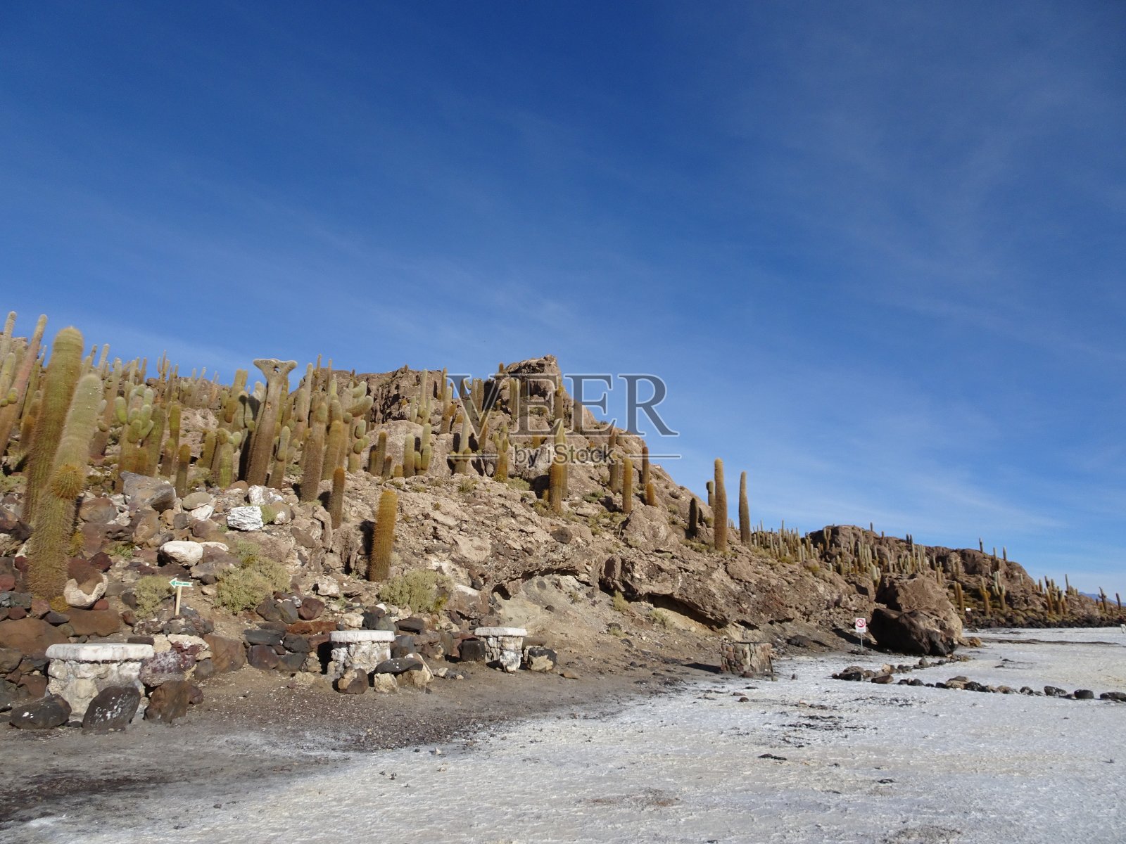 Incahuasi岛。照片摄影图片