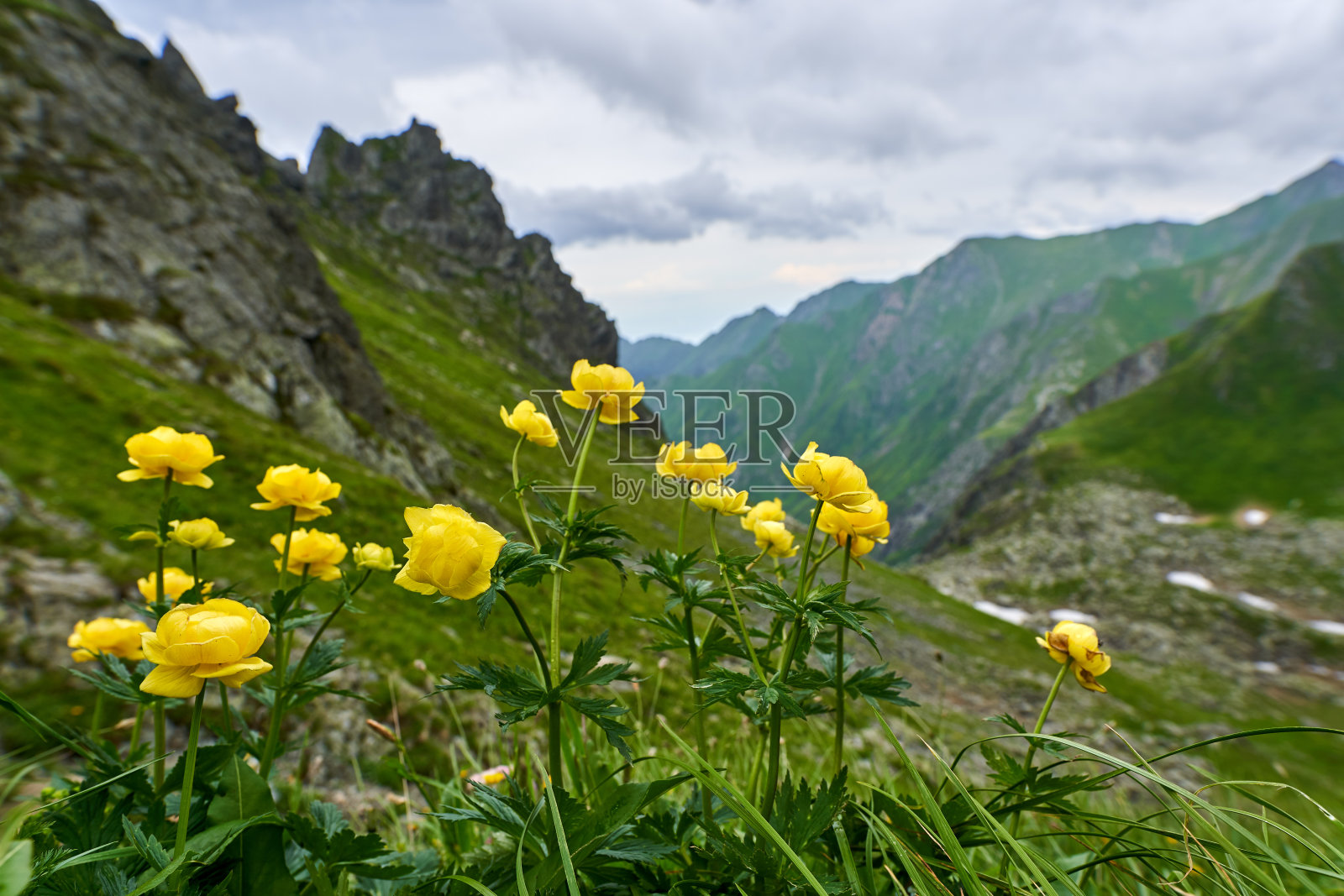 山里的夏天照片摄影图片