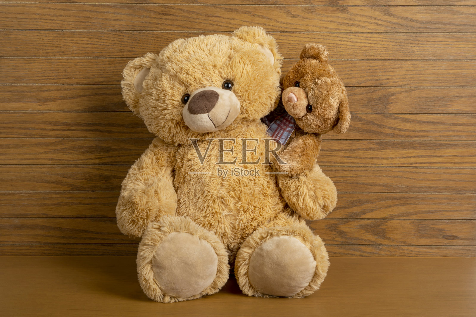 泰迪熊的家庭照片摄影图片