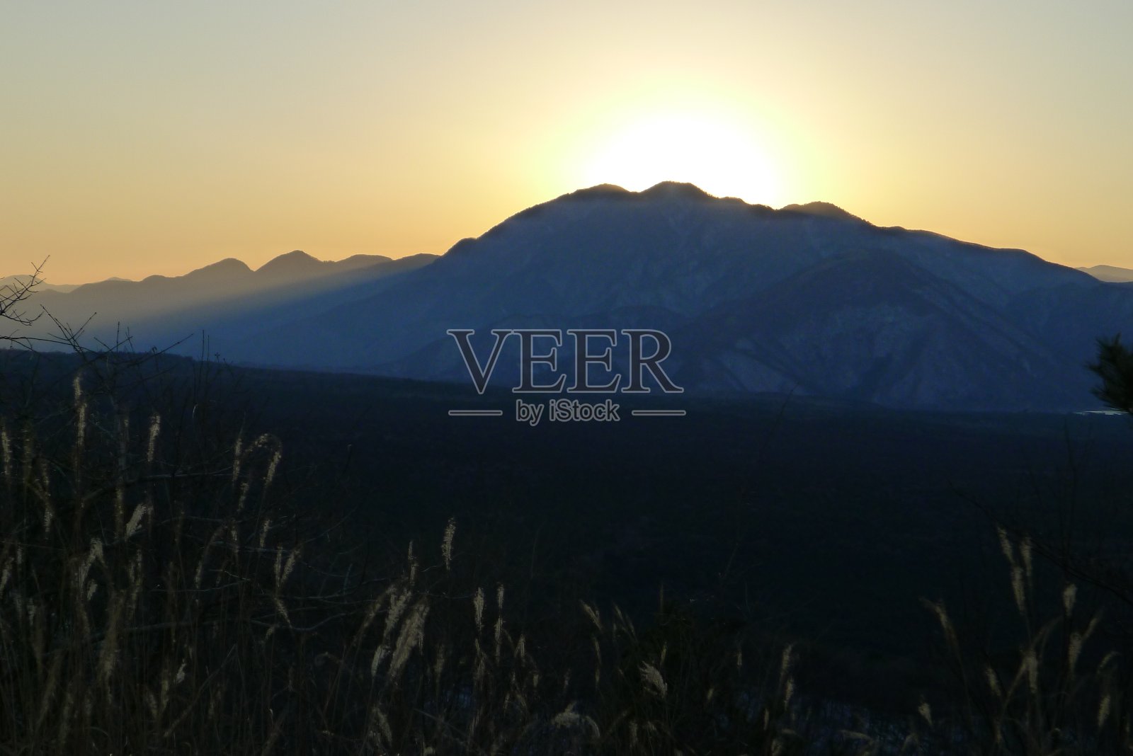 青木原来自日本山大(富士箱根伊豆国家公园)照片摄影图片