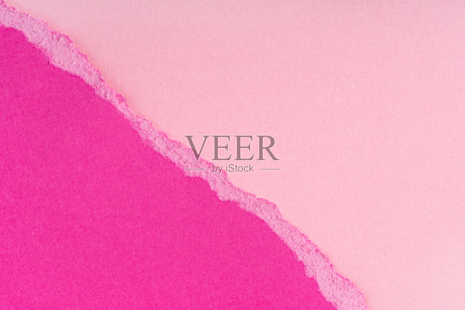 粉红背景上的紫色碎纸边缘。撕裂的纸边缘孤立,阴影柔和。照片摄影图片