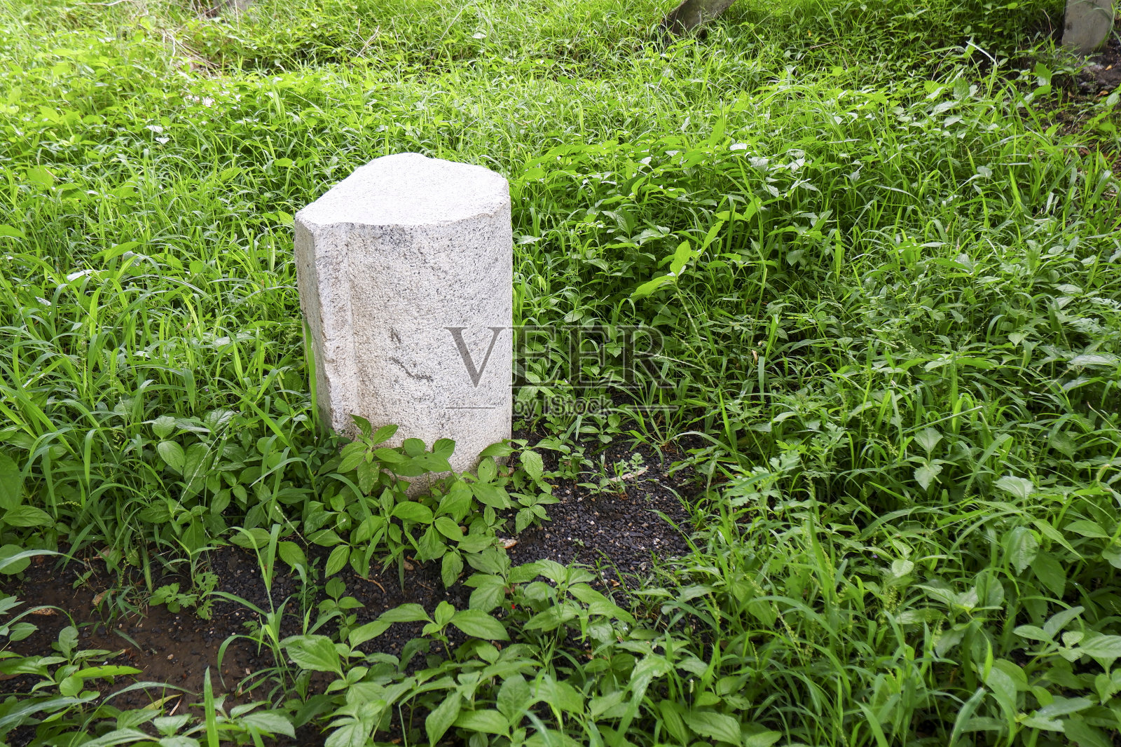 白色的花岗岩矗立在绿色的草地上照片摄影图片