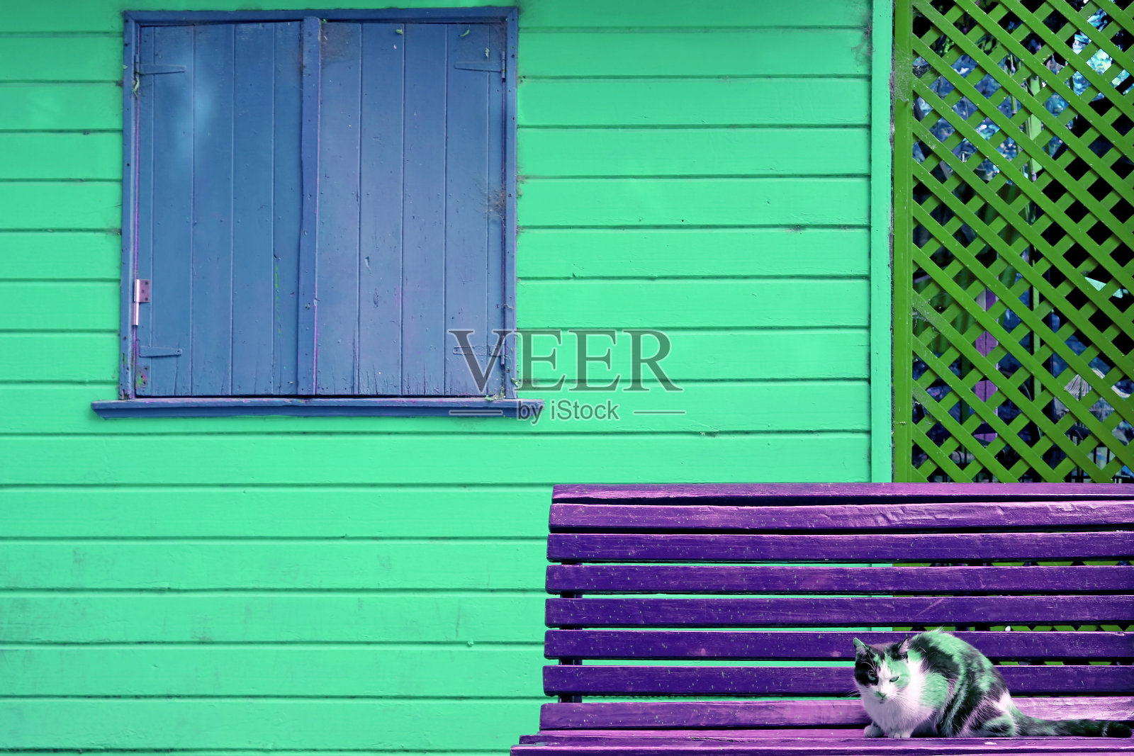 超现实波普艺术风格的糖果彩色猫在彩色木屋前的紫色长凳上休息照片摄影图片