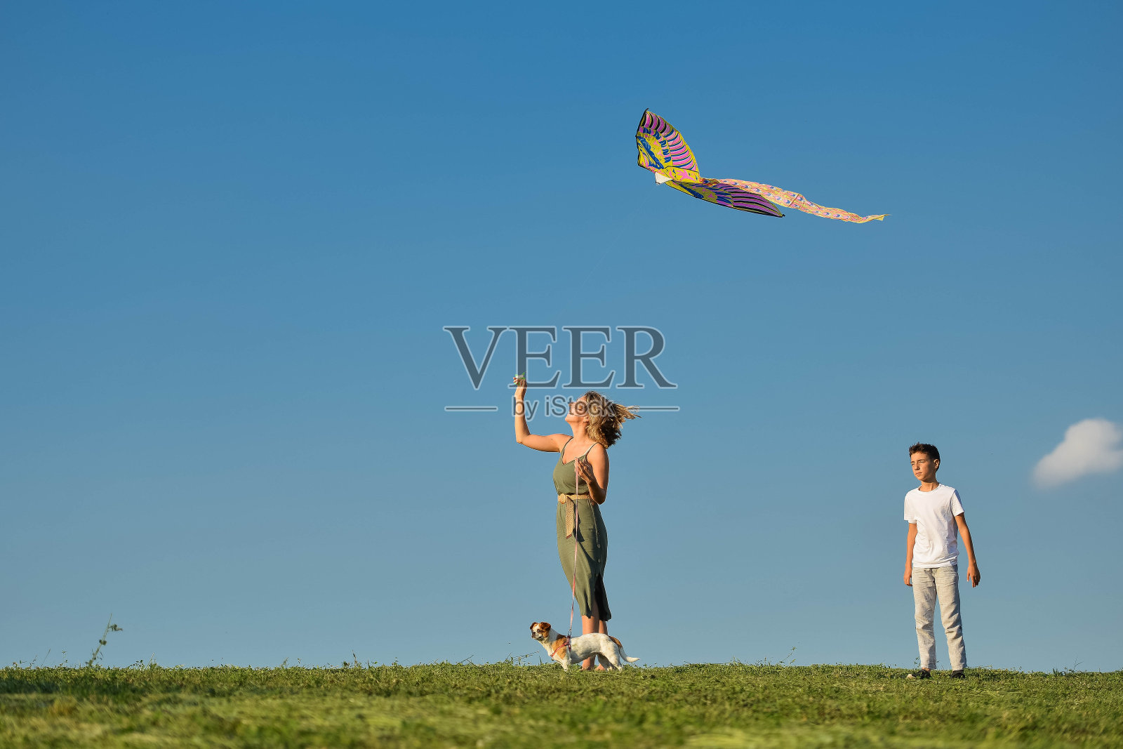 在公园里玩风筝照片摄影图片