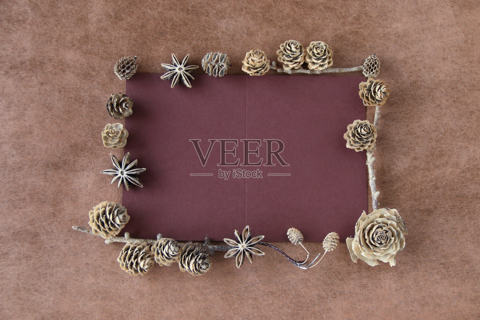 雪松玫瑰、漂白落叶松等的设计照片摄影图片