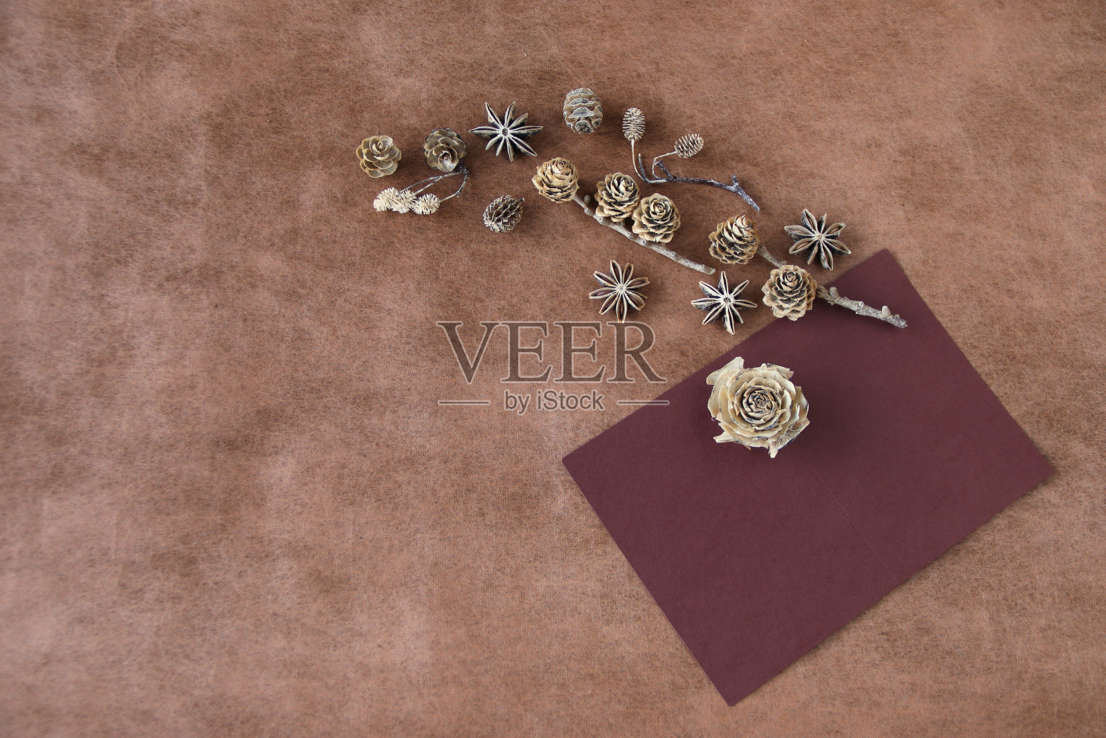 秋天坚果设计照片摄影图片