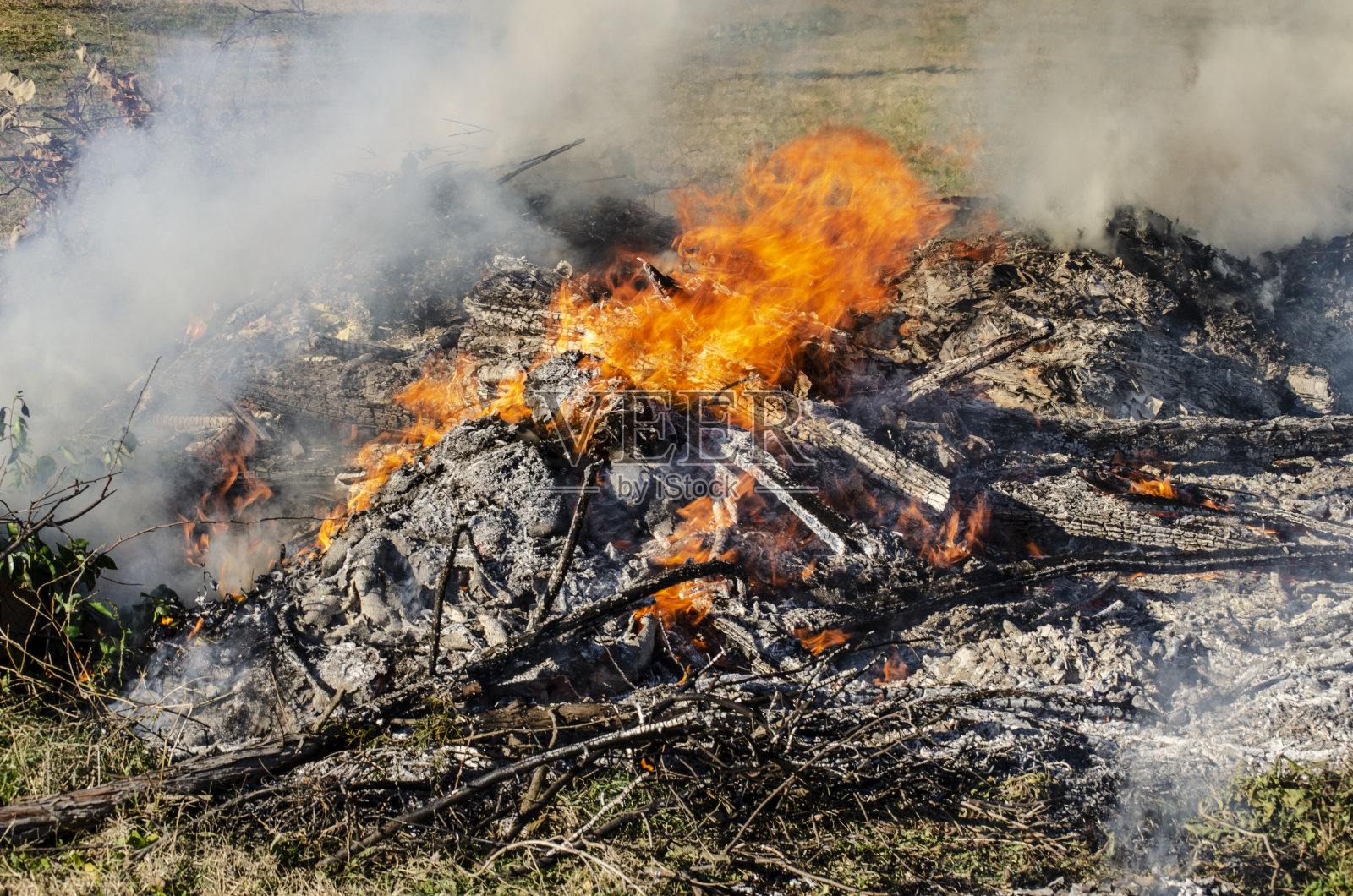 篝火照片摄影图片