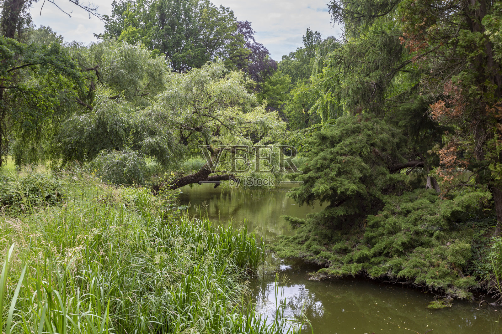 匈牙利瓦格拉特植物园照片摄影图片
