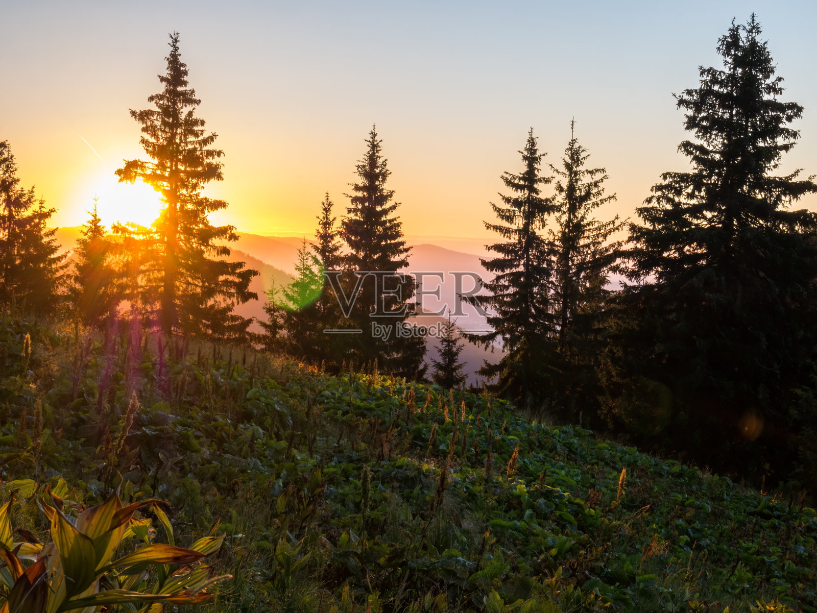 美丽的日落在布塞吉山喀尔巴阡山脉的一部分,在罗马尼亚。照片摄影图片